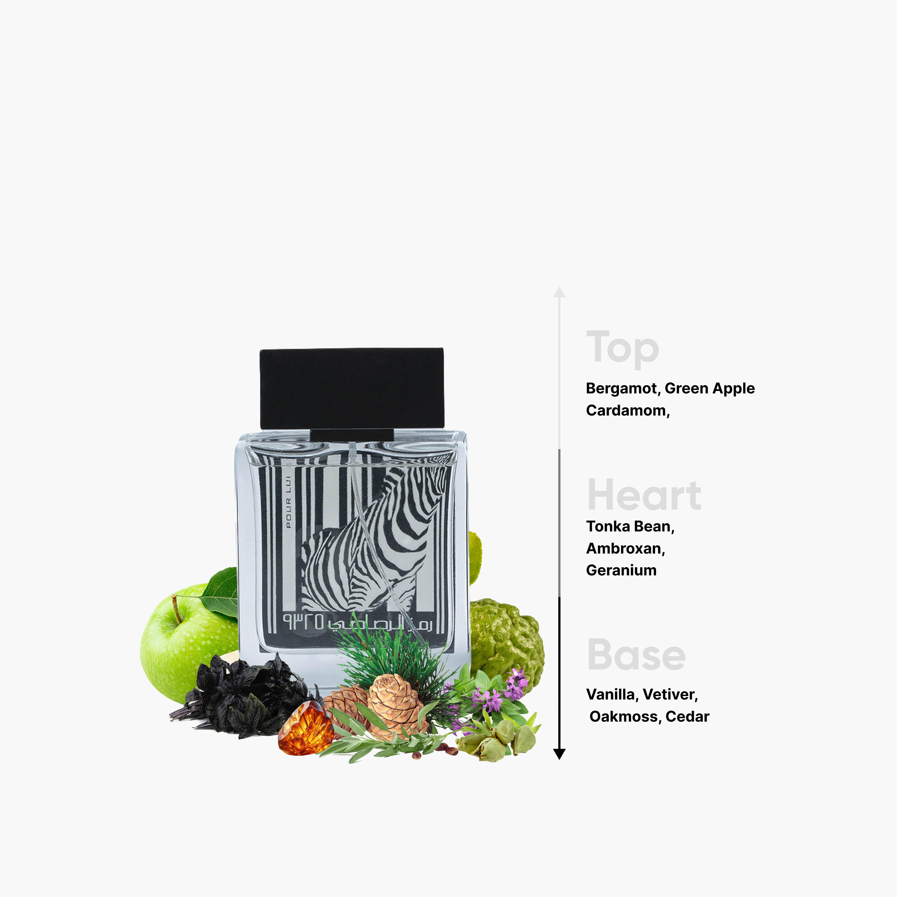 Rasasi Rumz Al Rasasi 9325 Eau de Parfum for Men - 50 ml-beautyandpersonalcare-fragrance-unisex-image-4
