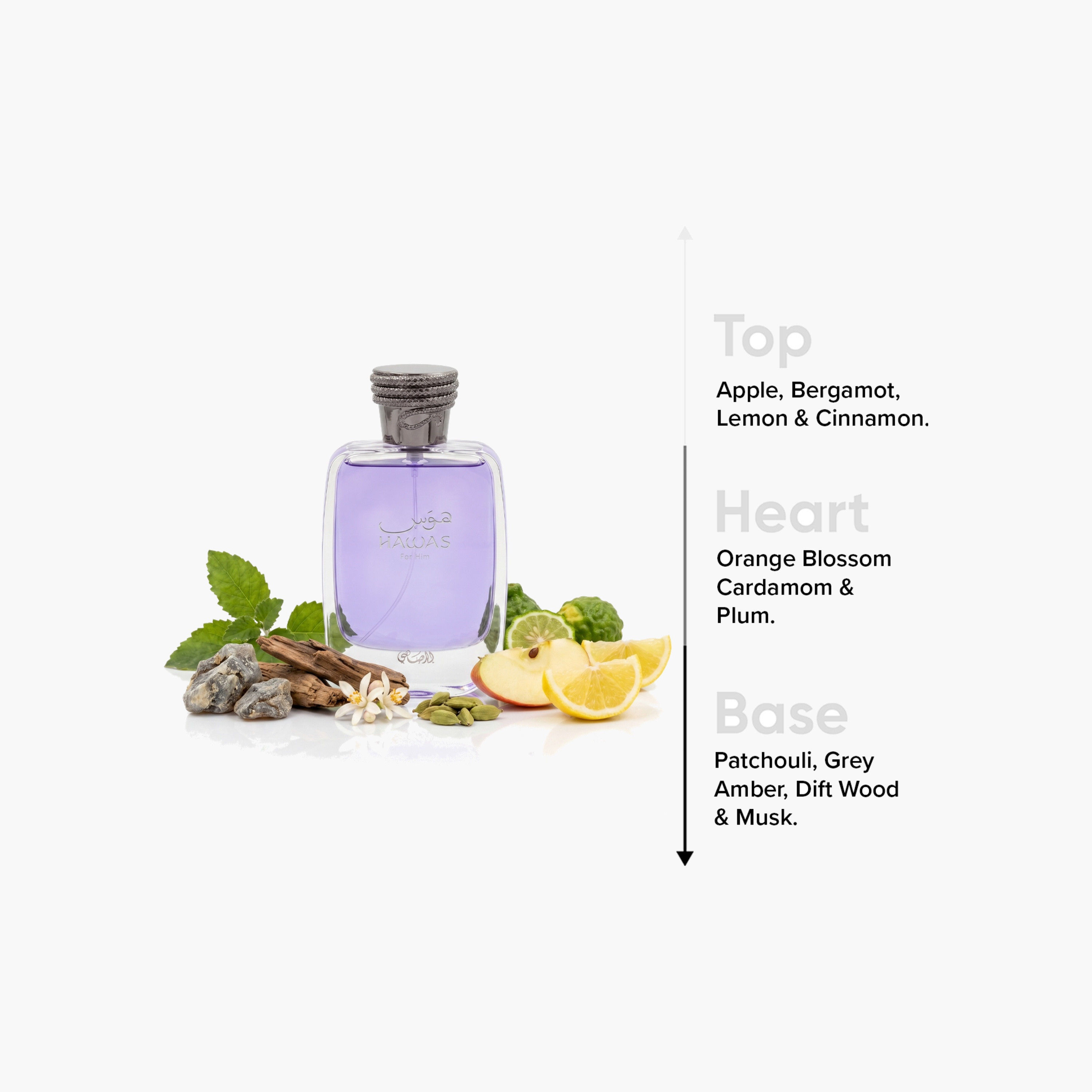 Rasasi Hawas Eau de Parfum for Men - 100 ml-beautyandpersonalcare-fragrance-men-image-4