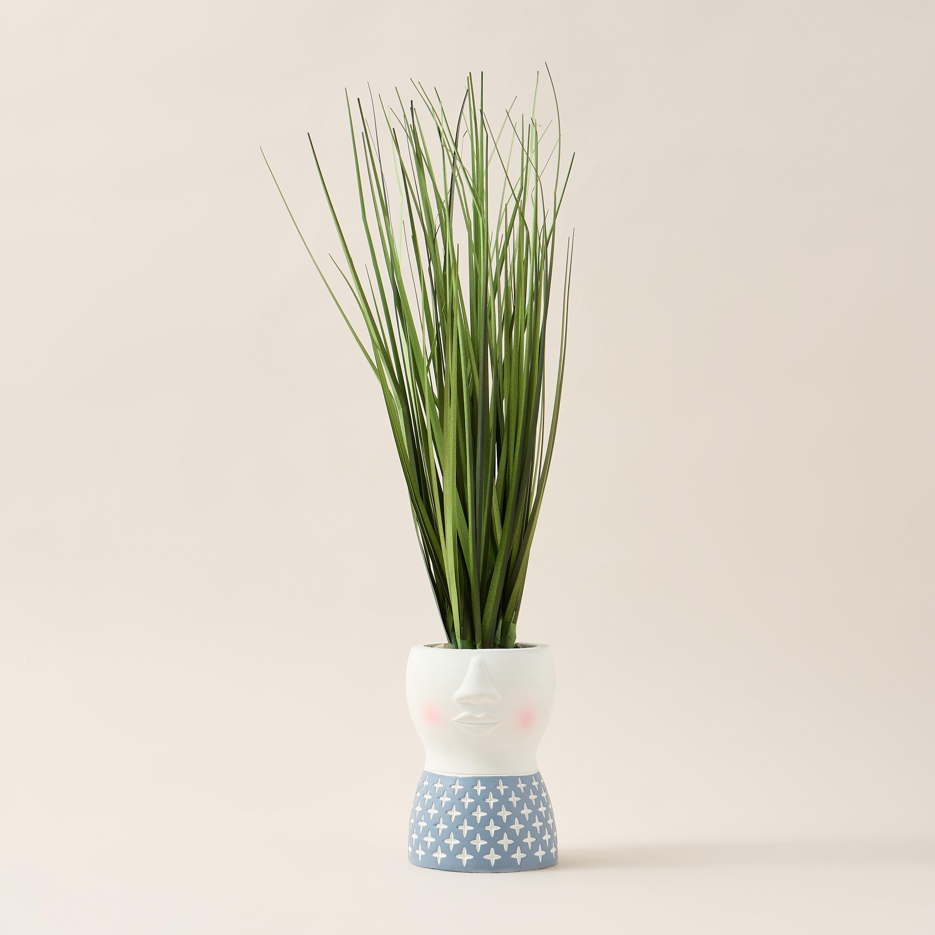 Findz Textured Pot with Succulent - 43 cms-household-decor-decorativeobjectsandsculptures-image-1