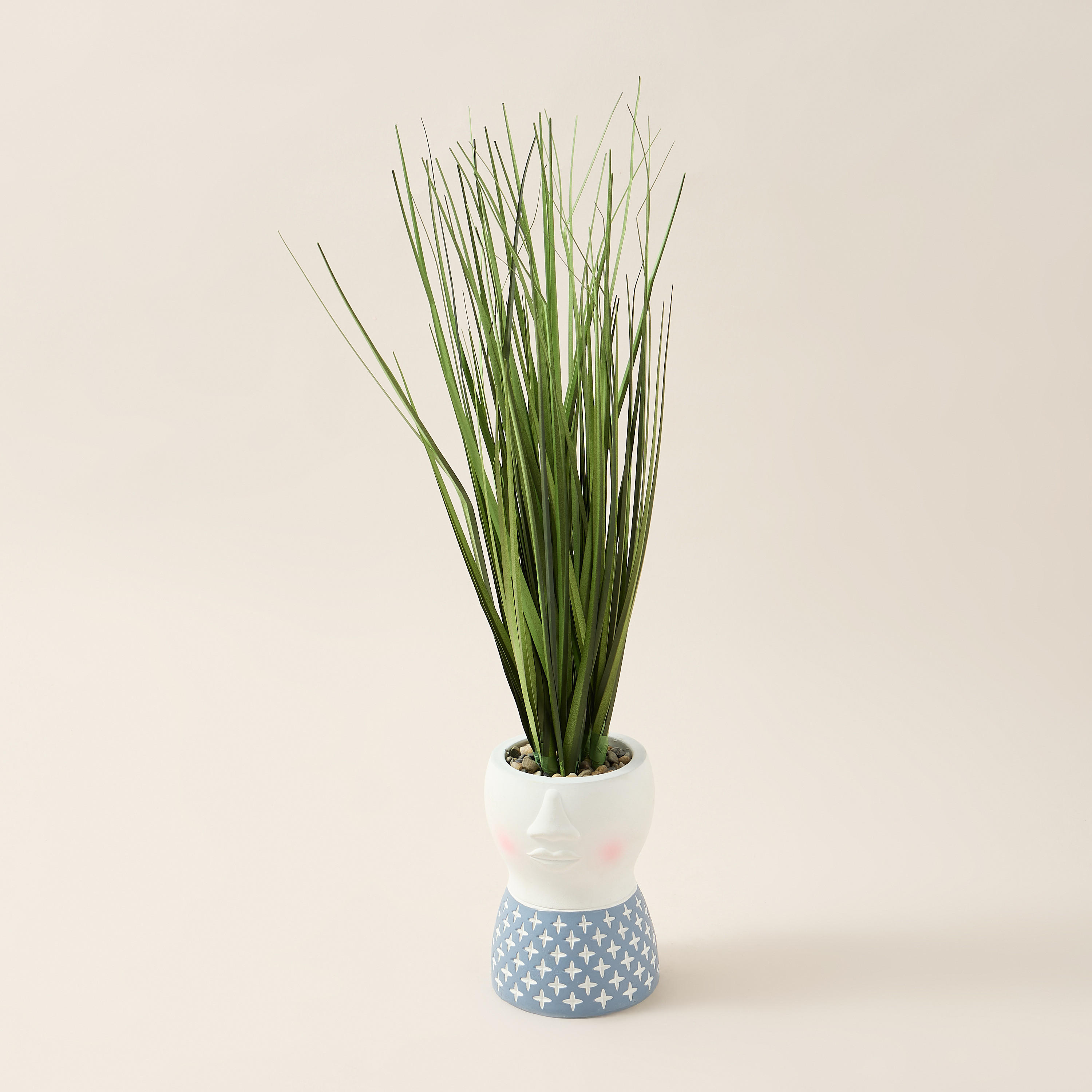 Findz Textured Pot with Succulent - 43 cms-household-decor-decorativeobjectsandsculptures-image-2