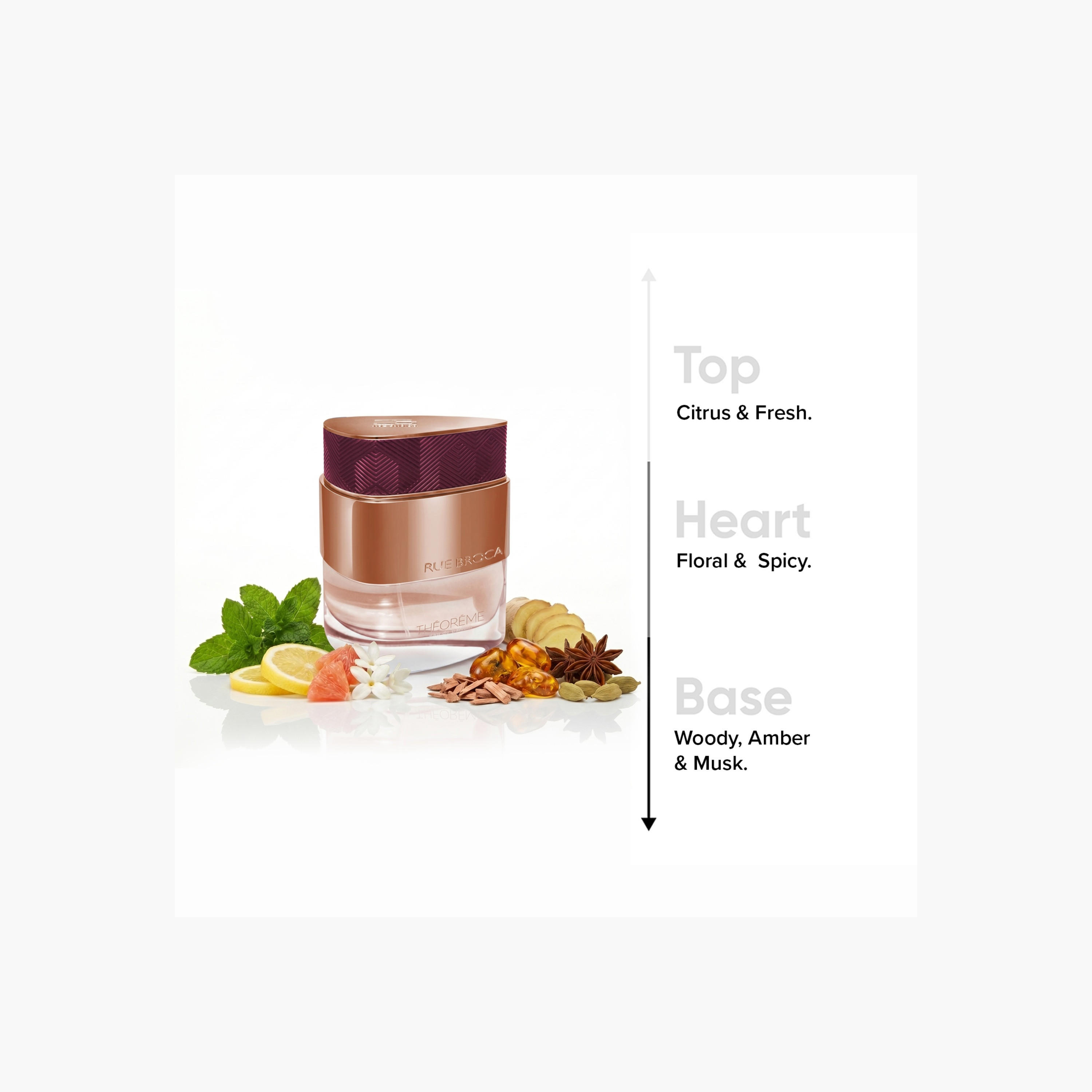عطر أو دو بارفان ثيوريم للنساء من رو بروكا - 90 مل-beautyandpersonalcare-fragrance-women-image-3