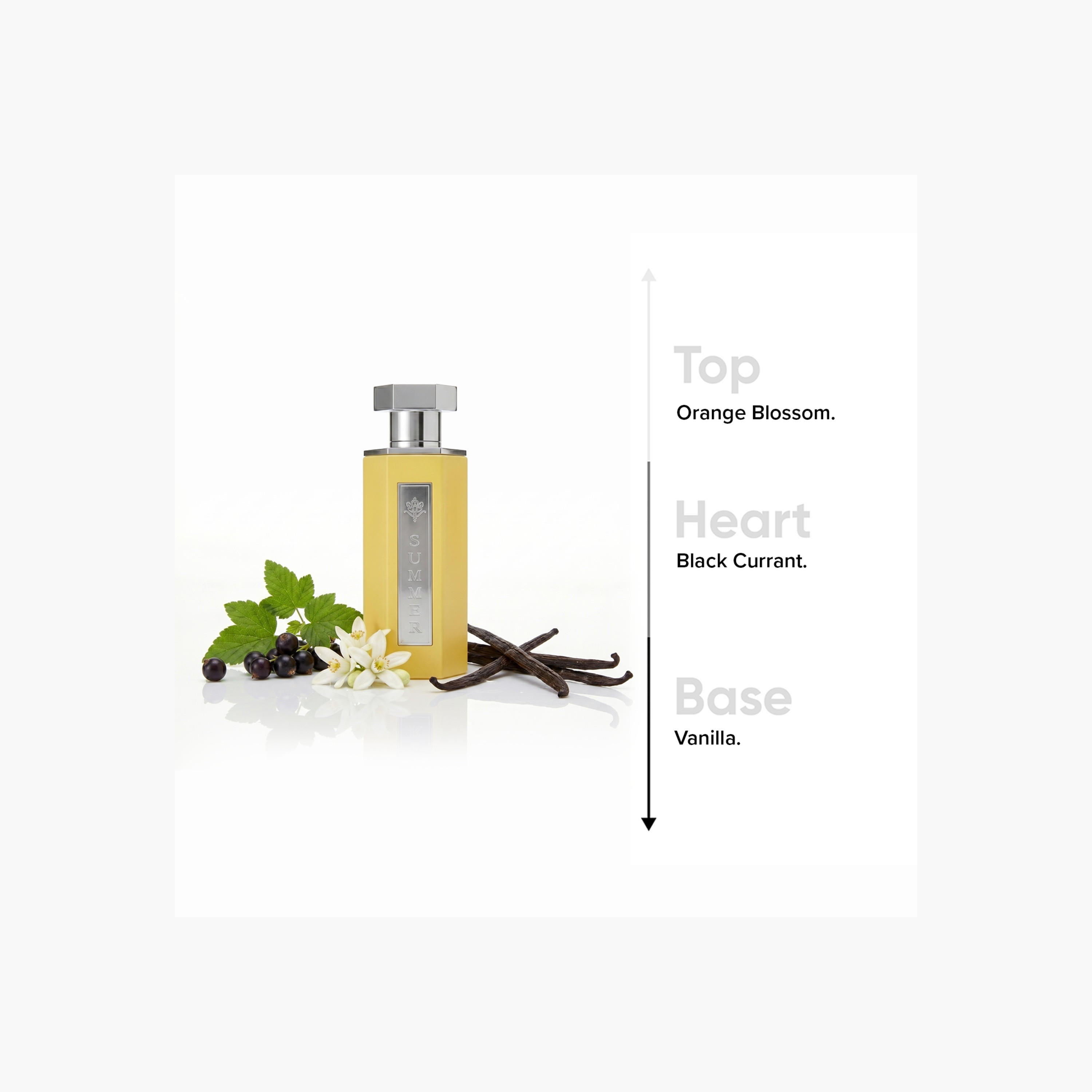 عطر أو دو برفان فلاور أورانج بلاك كرانت فانيلا من عطور ريف - 100 مل-promo_B1G1_19_MAR_TO_31_DEC_9AM_2026_UAE-image-3