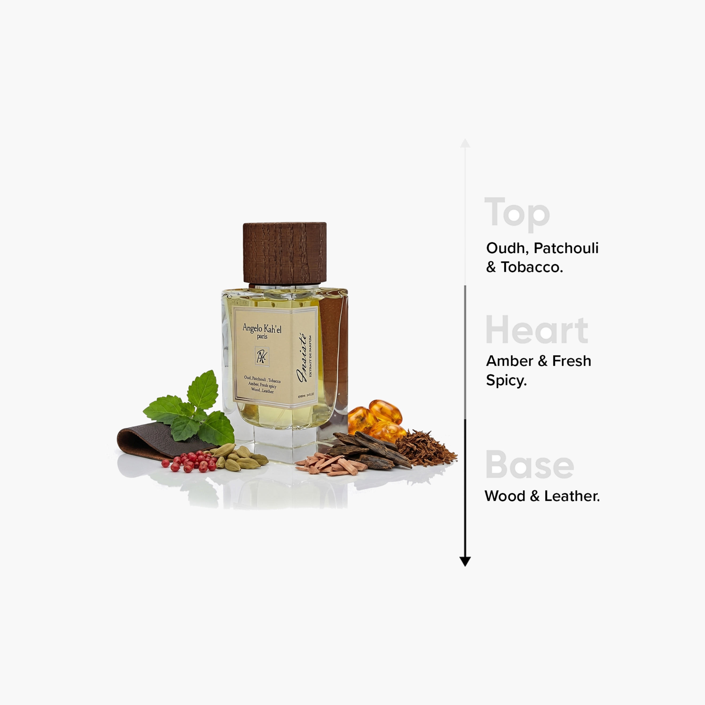 عطر أو دو برفان باريس إنسيست من أنجيلو كاهيل- 100 مل-beautyandpersonalcare-fragrance-unisex-image-4