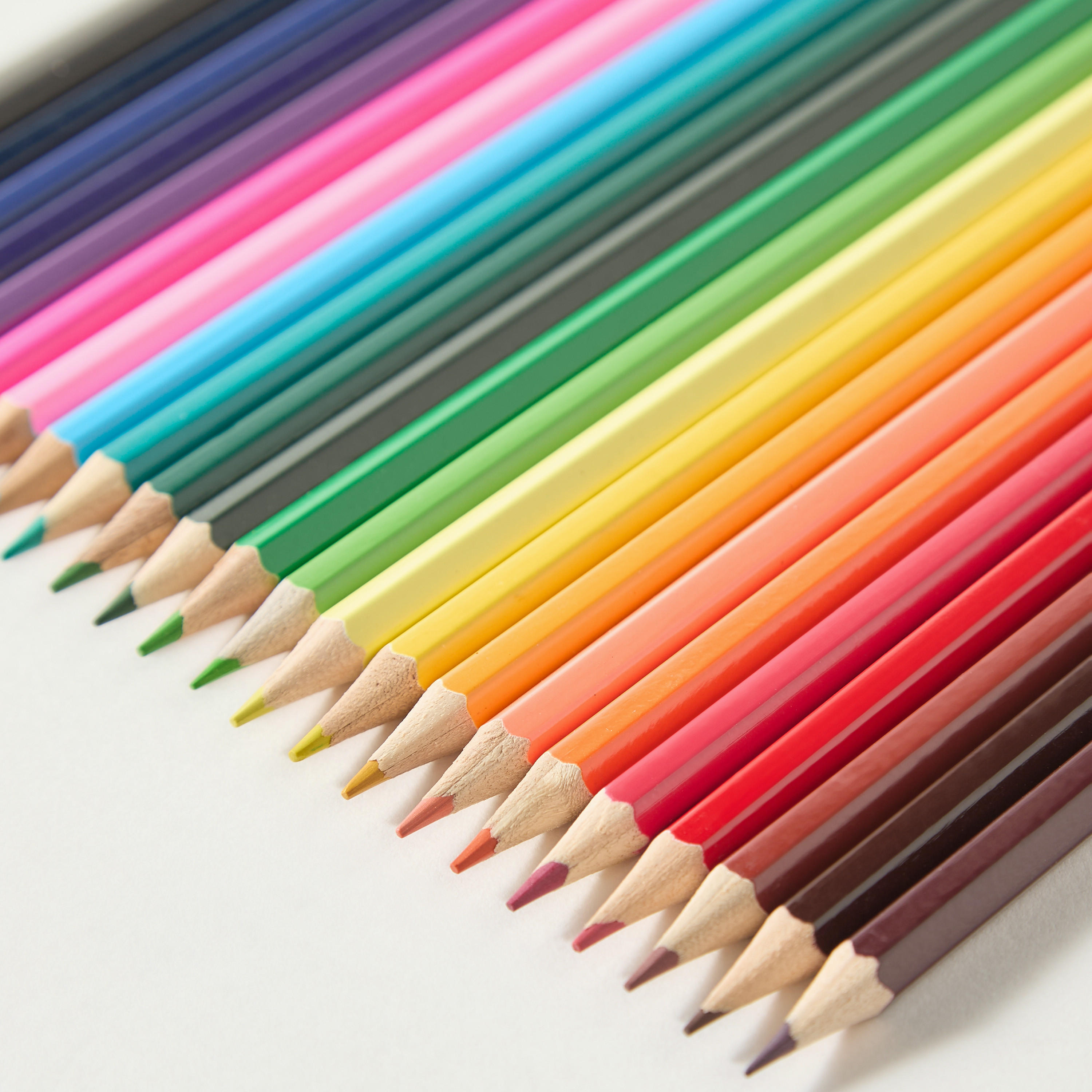 Findz 24-Piece Colour Pencil Set-school-stationery-pencilcases-image-4