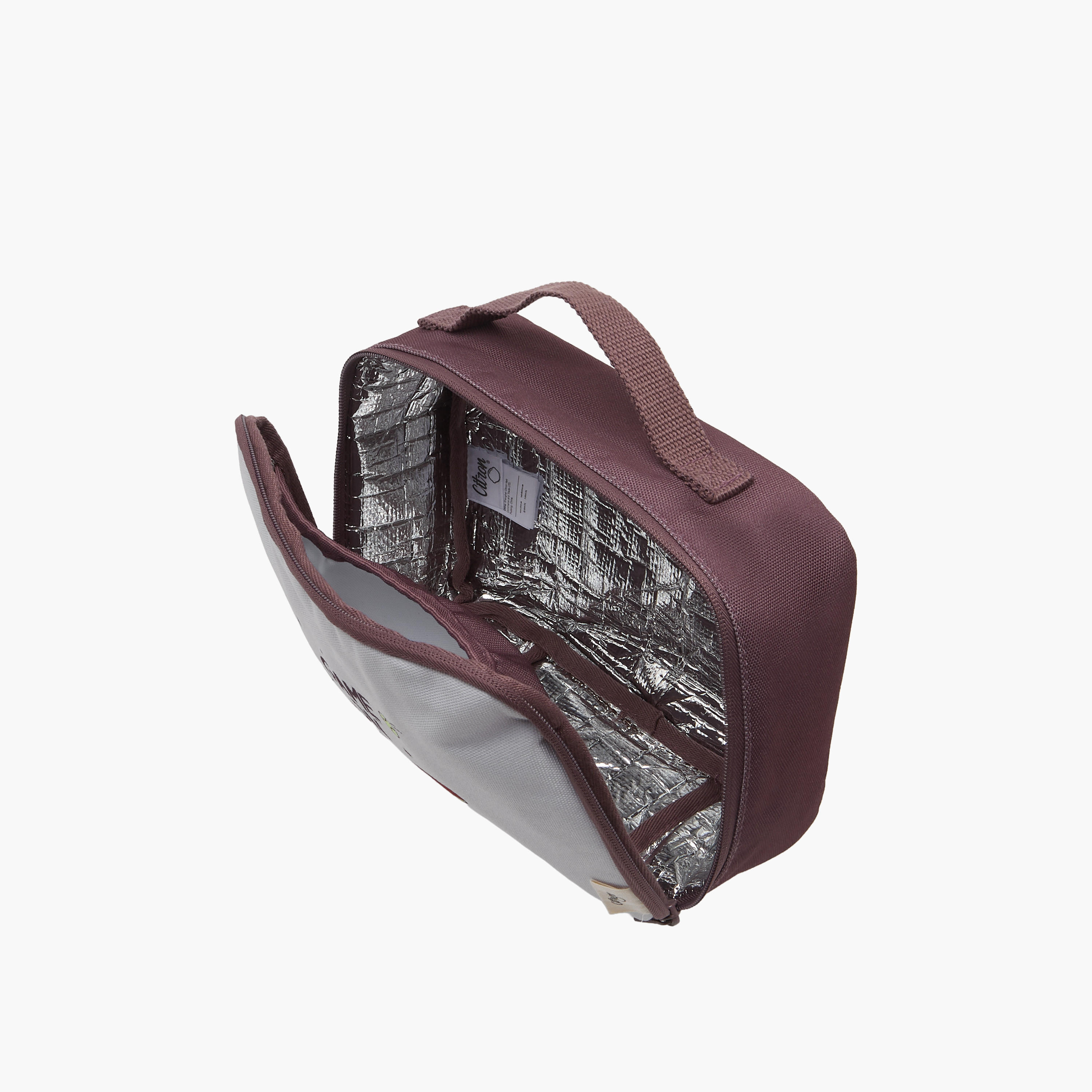 Citron Printed Insulated Lunch Bag with Handle and Zip Closure-school-lunchessentials-lunchbags-image-5
