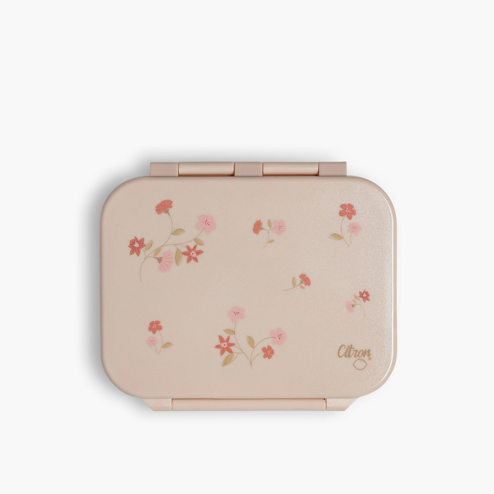 صندوق غداء بمشبك إغلاق وطبعات من سيترون-school-lunchessentials-lunchboxes-image-1
