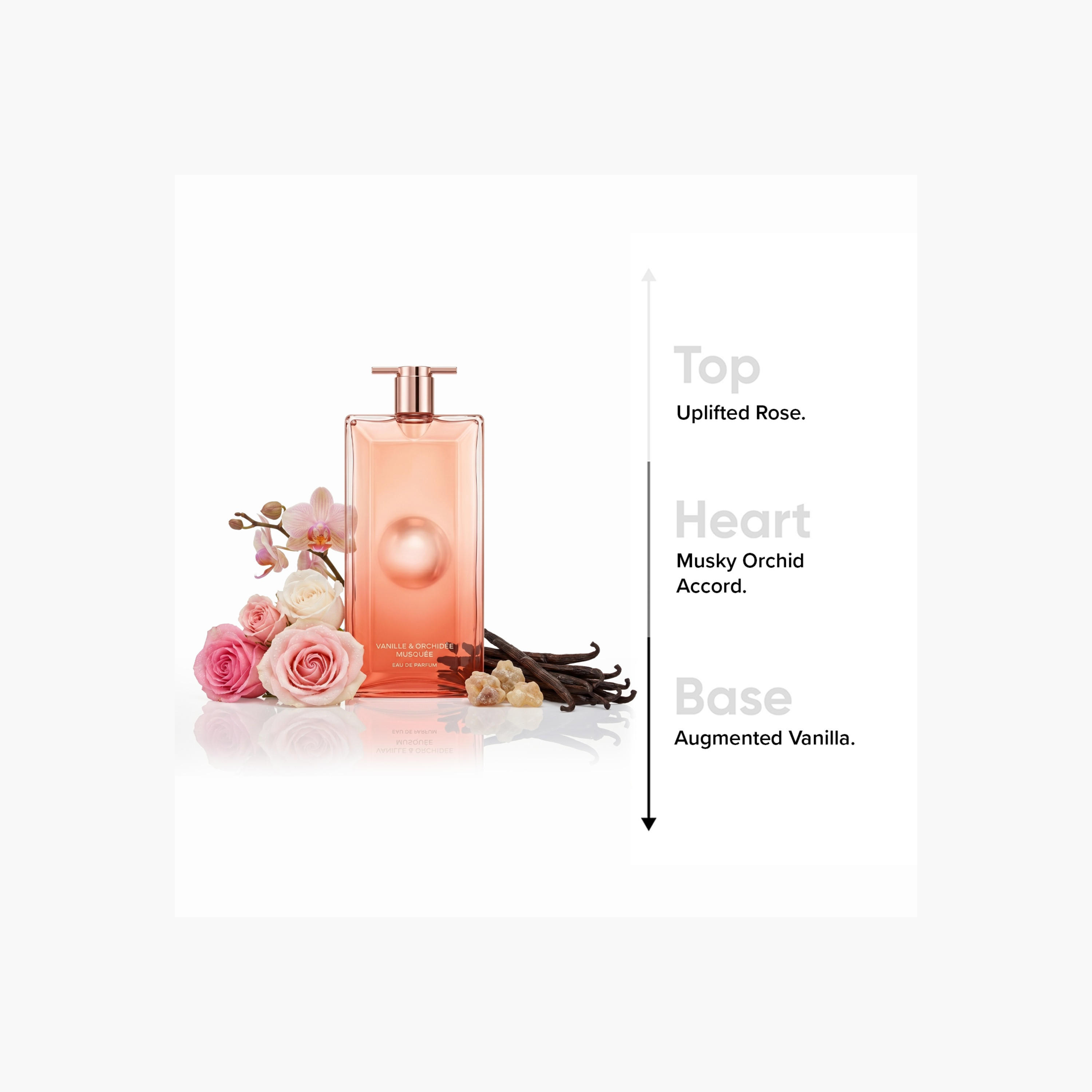 Lancome Idole Now Eau de Parfum for Women - 100 ml-beautyandpersonalcare-fragrance-women-image-5