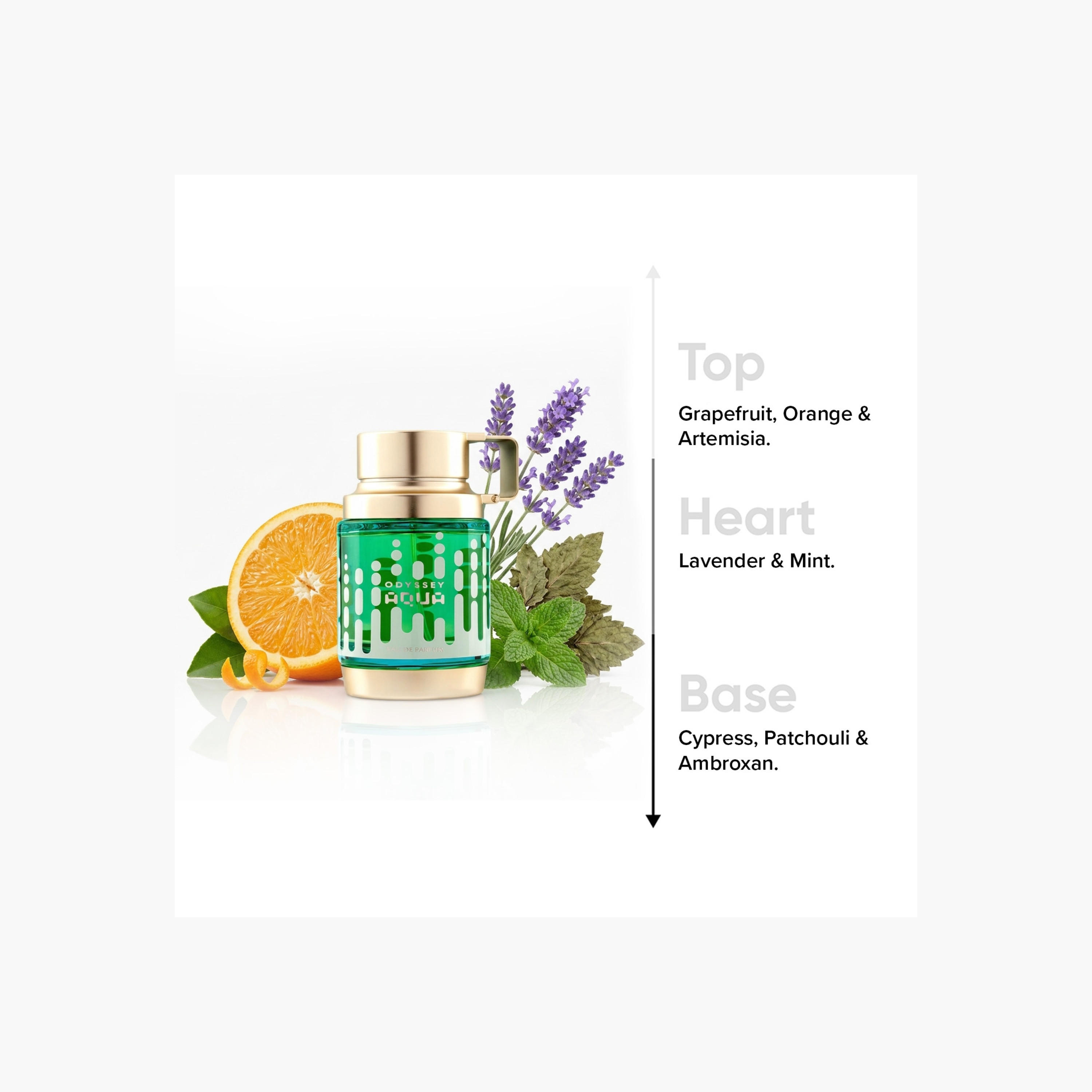 بخاخ أو دو بارفان أوديسي أكوا للرجال من أرماف - 100 مل-beautyandpersonalcare-fragrance-men-image-5