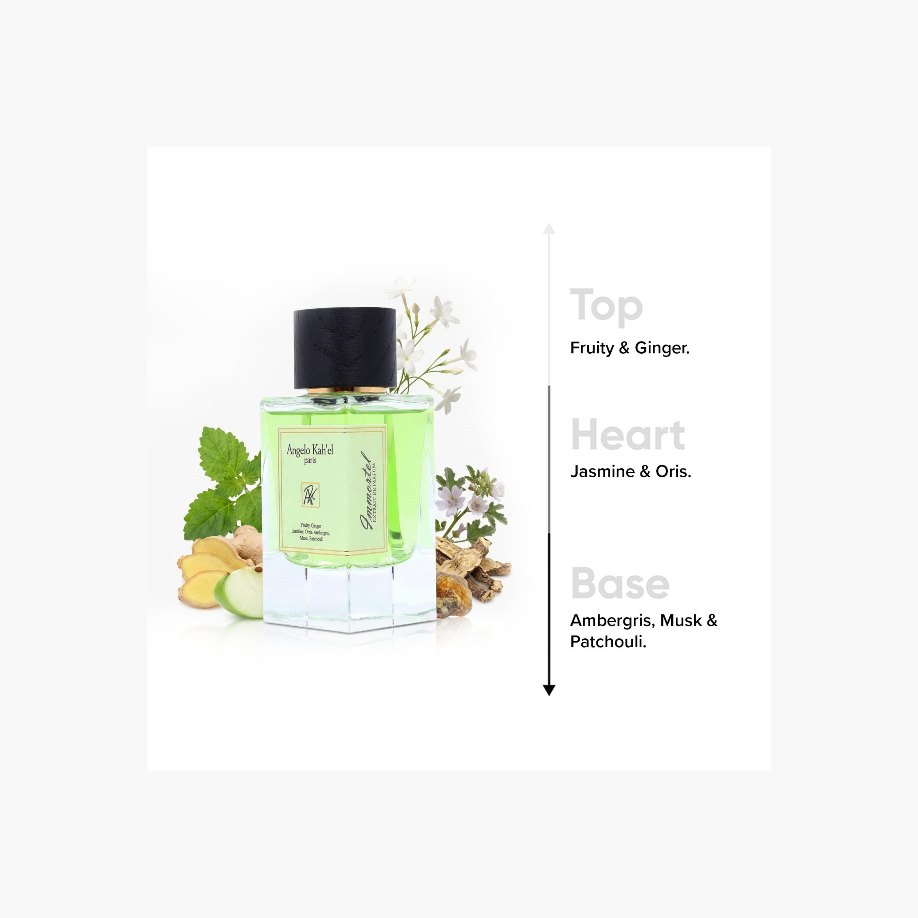 Angelo Kah'el Paris Immortel Eau de Parfum for Men - 100 ml-beautyandpersonalcare-fragrance-men-image-5