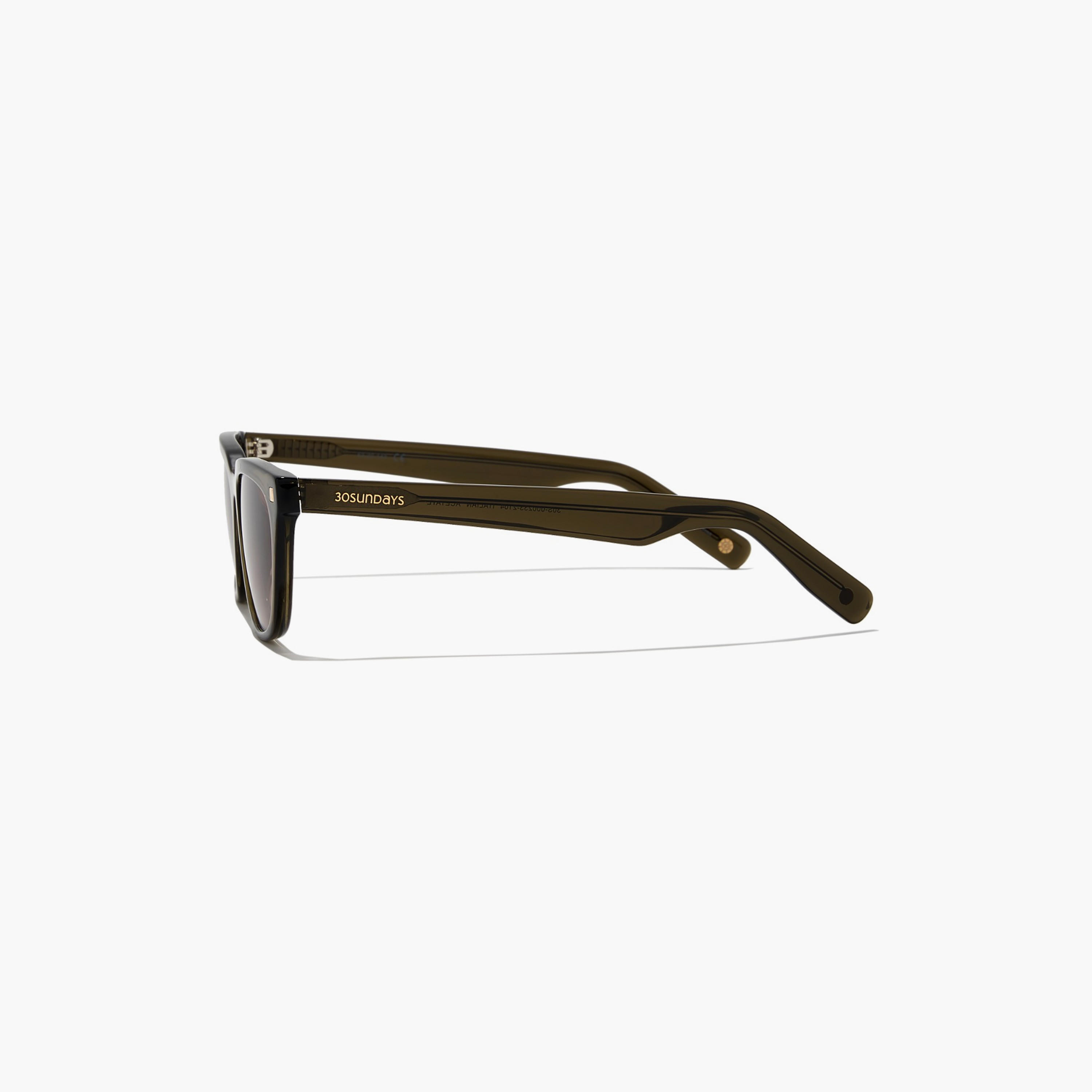 30Sundays THALIA 53 MM Brown Cat Eye Sunglasses-women-sunglasses-image-4