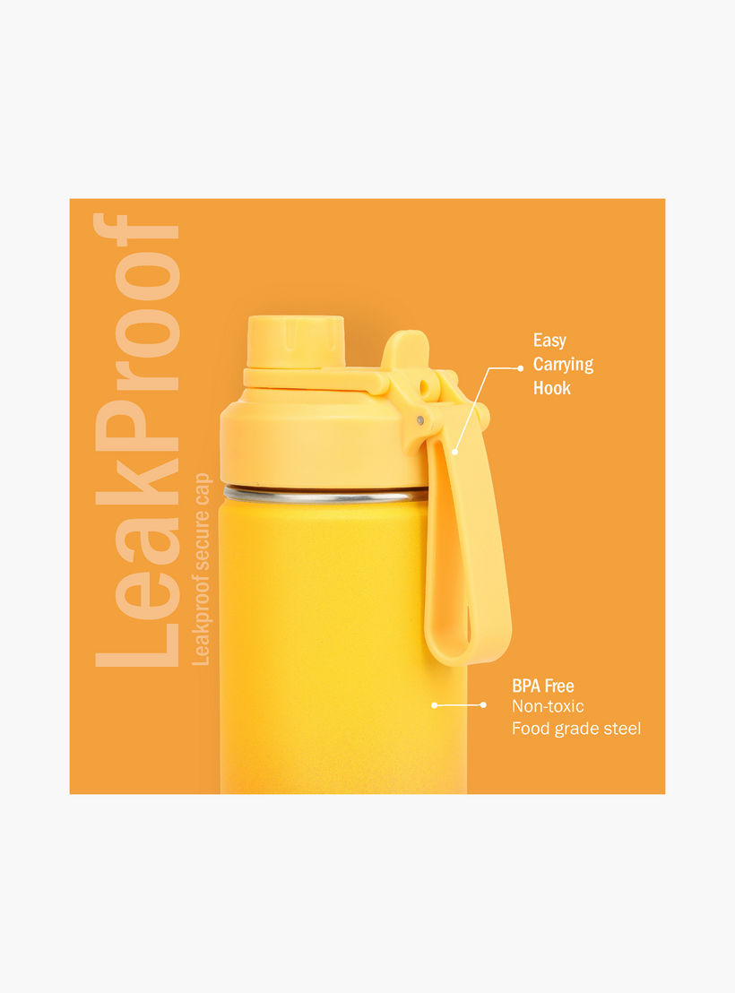 Briiton Ombre Stainless Steel Insulated Water Bottle - 750 ml-school-waterbottles-image-4