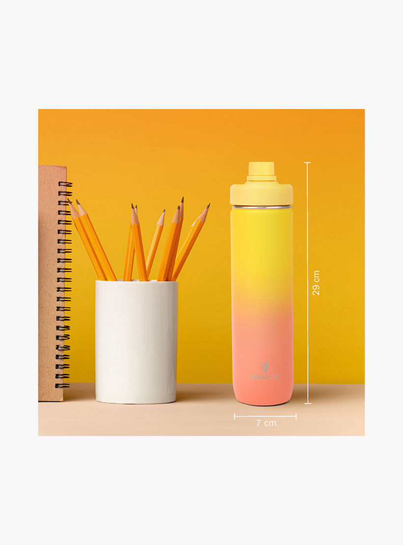 Briiton Ombre Stainless Steel Insulated Water Bottle - 750 ml-school-waterbottles-image-5