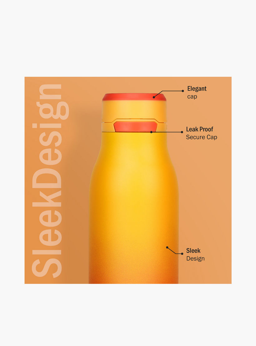 Briiton Ombre Stainless Steel Insulated Water Bottle - 750 ml-school-waterbottles-image-4