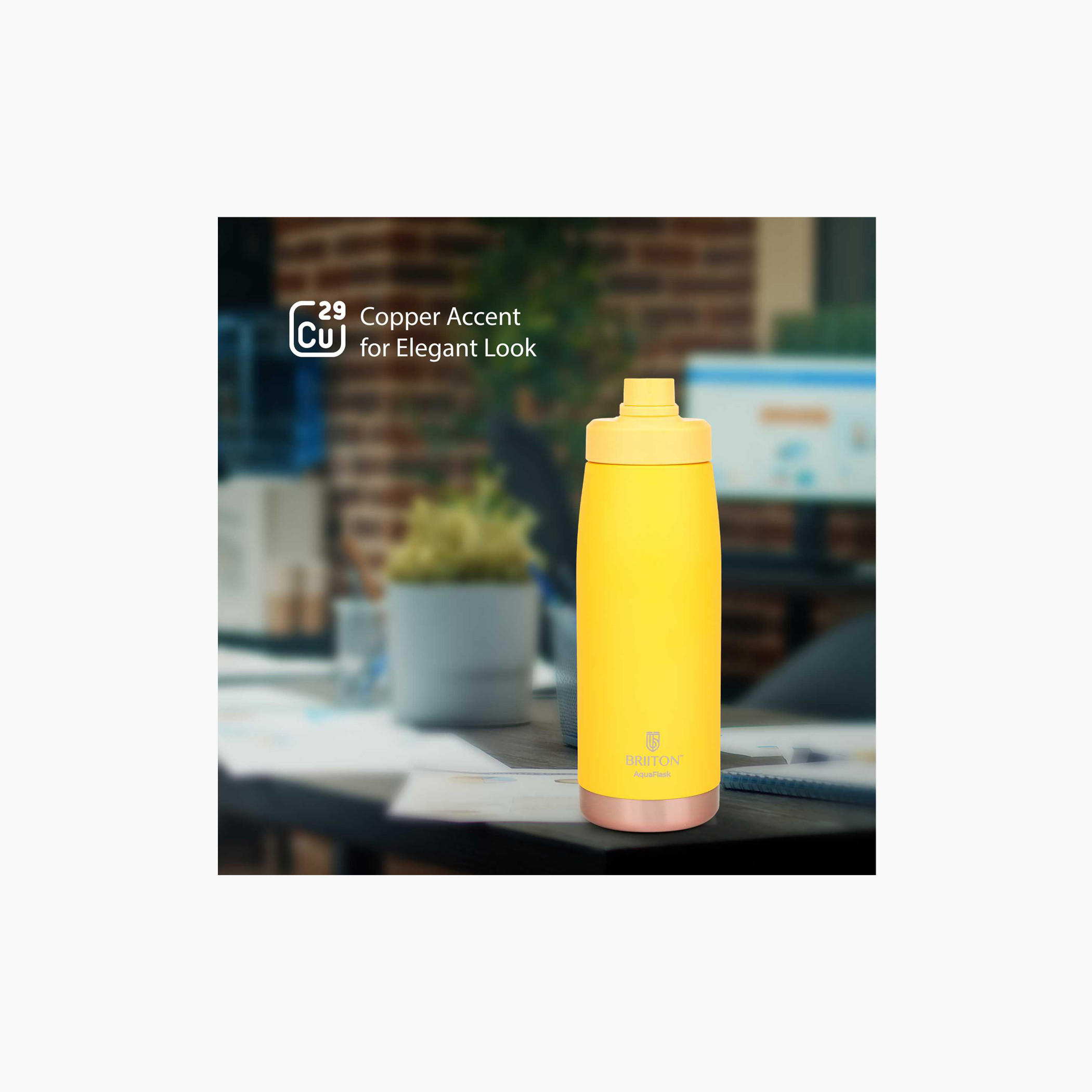 Briiton Stainless Steel Insulated Bottle - 1 L-school-waterbottles-image-7