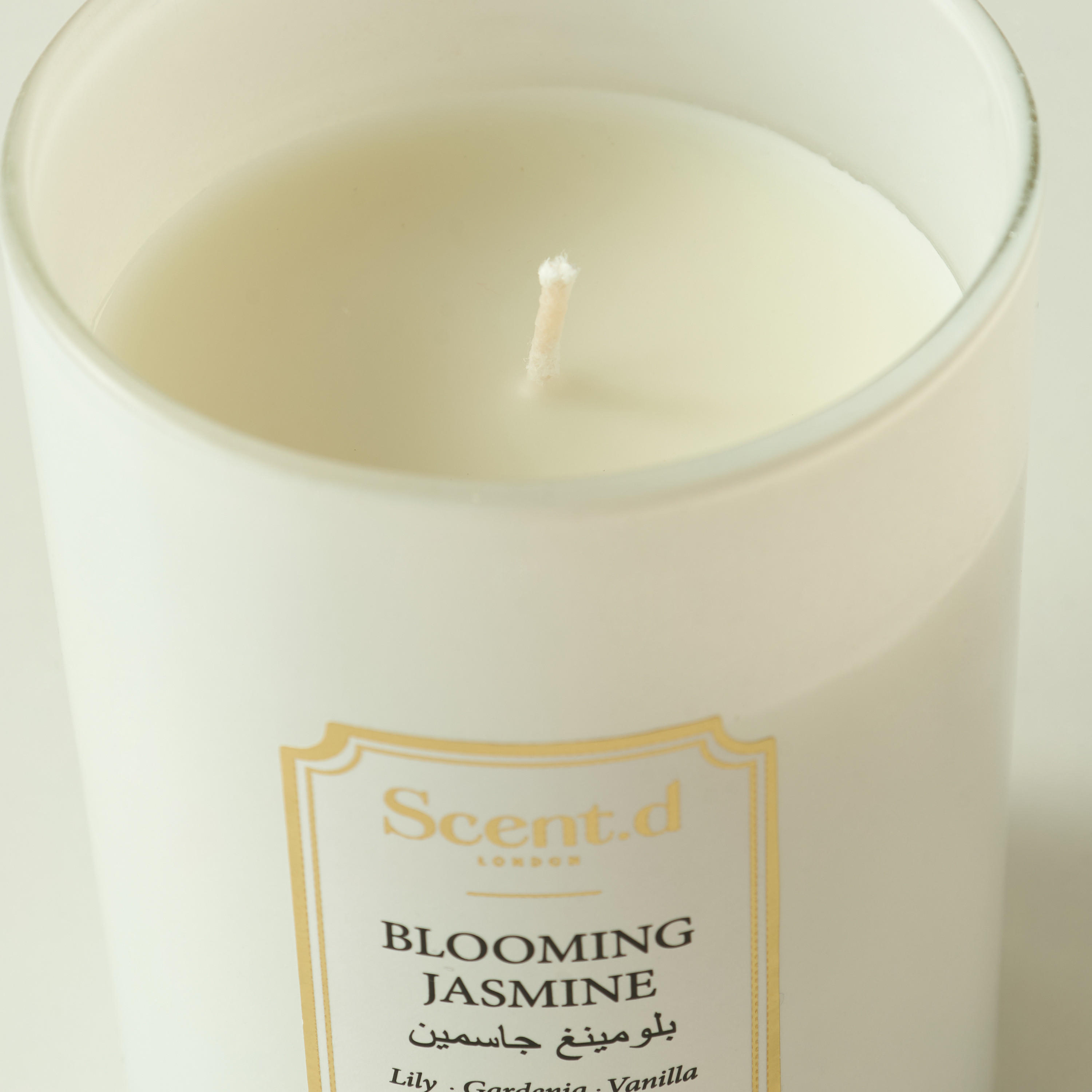 Scent.d Arabian Jasmine Scented Jar Candle - 226 gms-household-homefragrance-candles-image-1