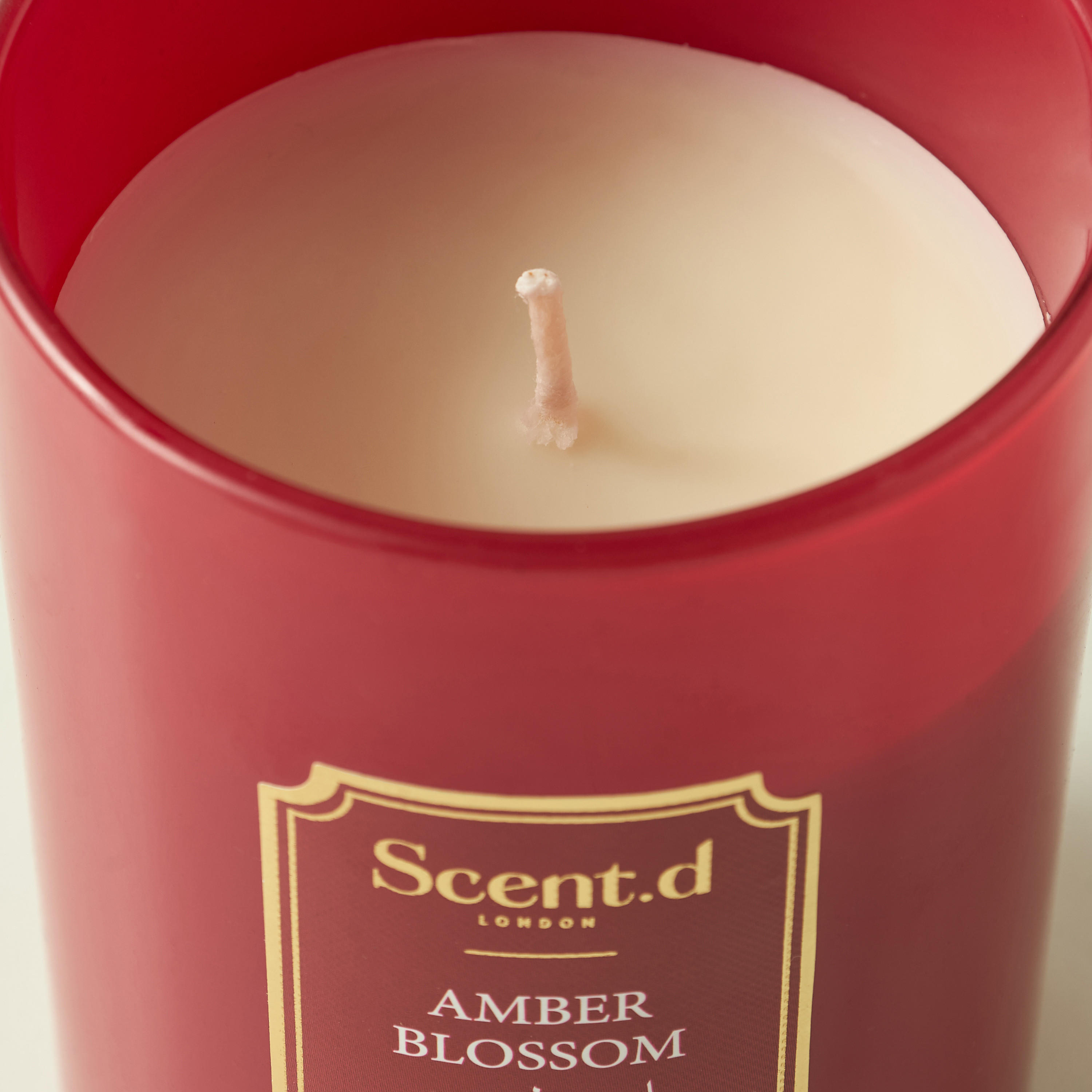Scent.d Arabian Jasmine Scented Jar Candle - 226 gms-household-homefragrance-candles-image-3