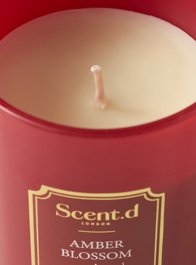 Scent.d Arabian Jasmine Scented Jar Candle - 226 gms-household-homefragrance-candles-image-3