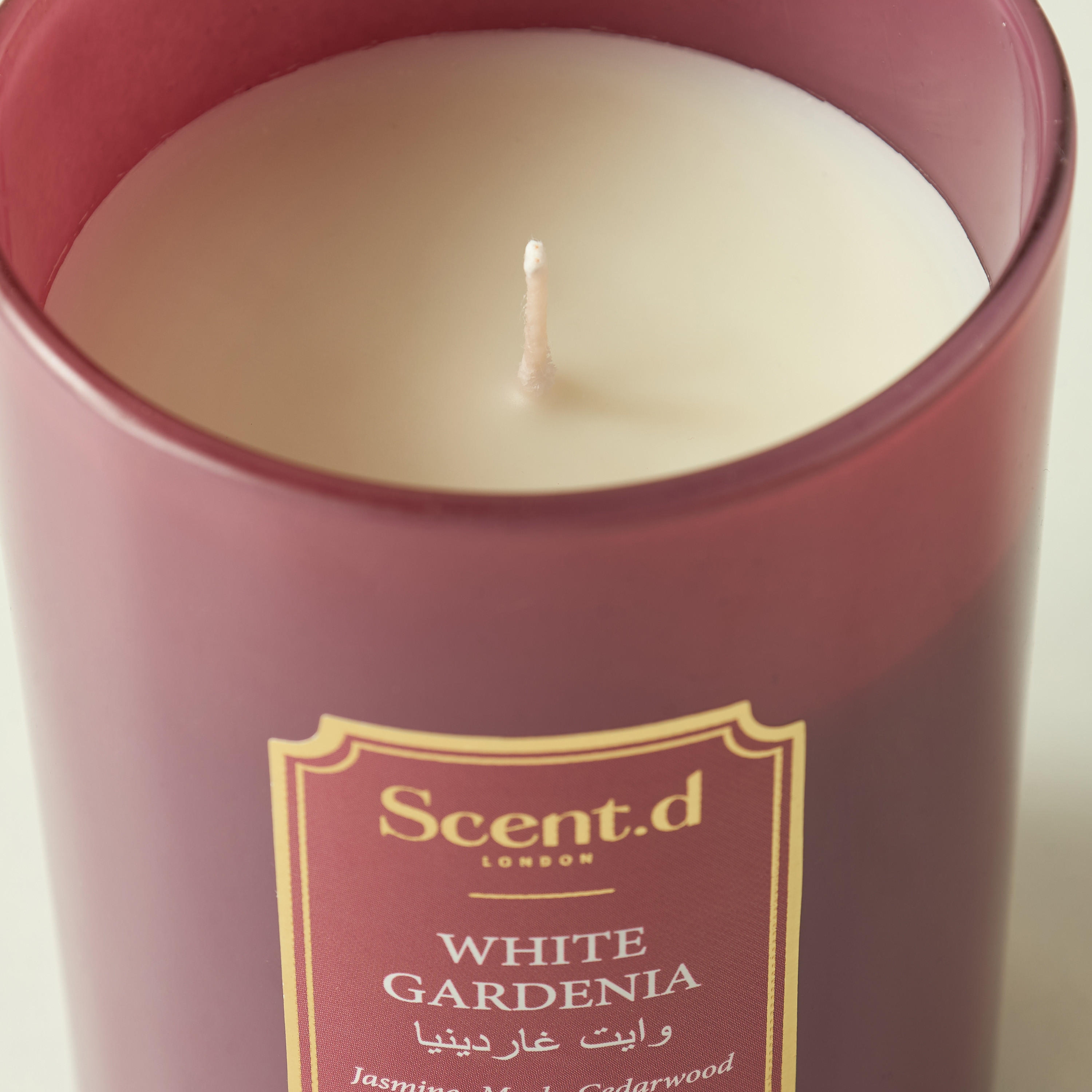 Scent.d Arabian Jasmine Scented Jar Candle - 226 gms-household-homefragrance-candles-image-3