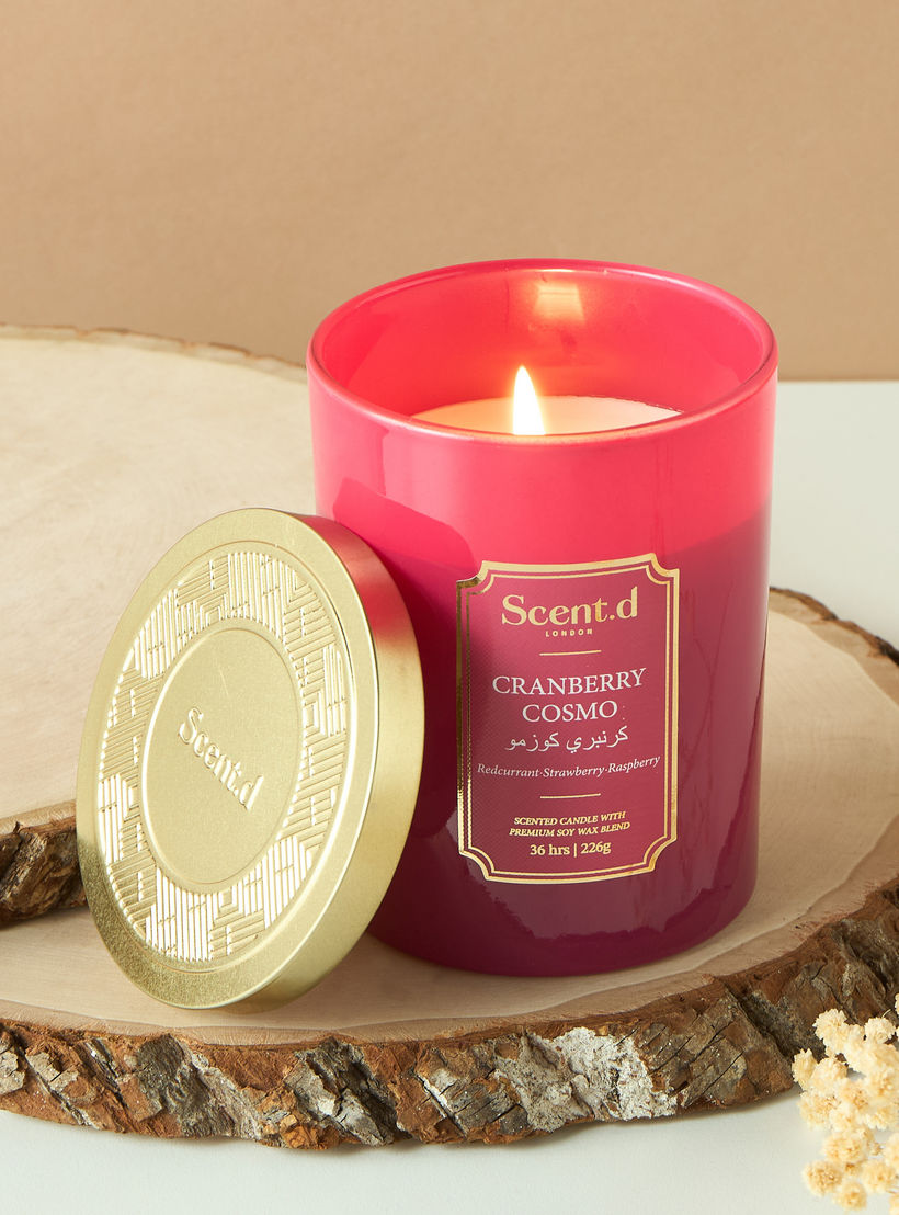 Scent.d Arabian Jasmine Scented Jar Candle - 226 gms-household-homefragrance-candles-image-1