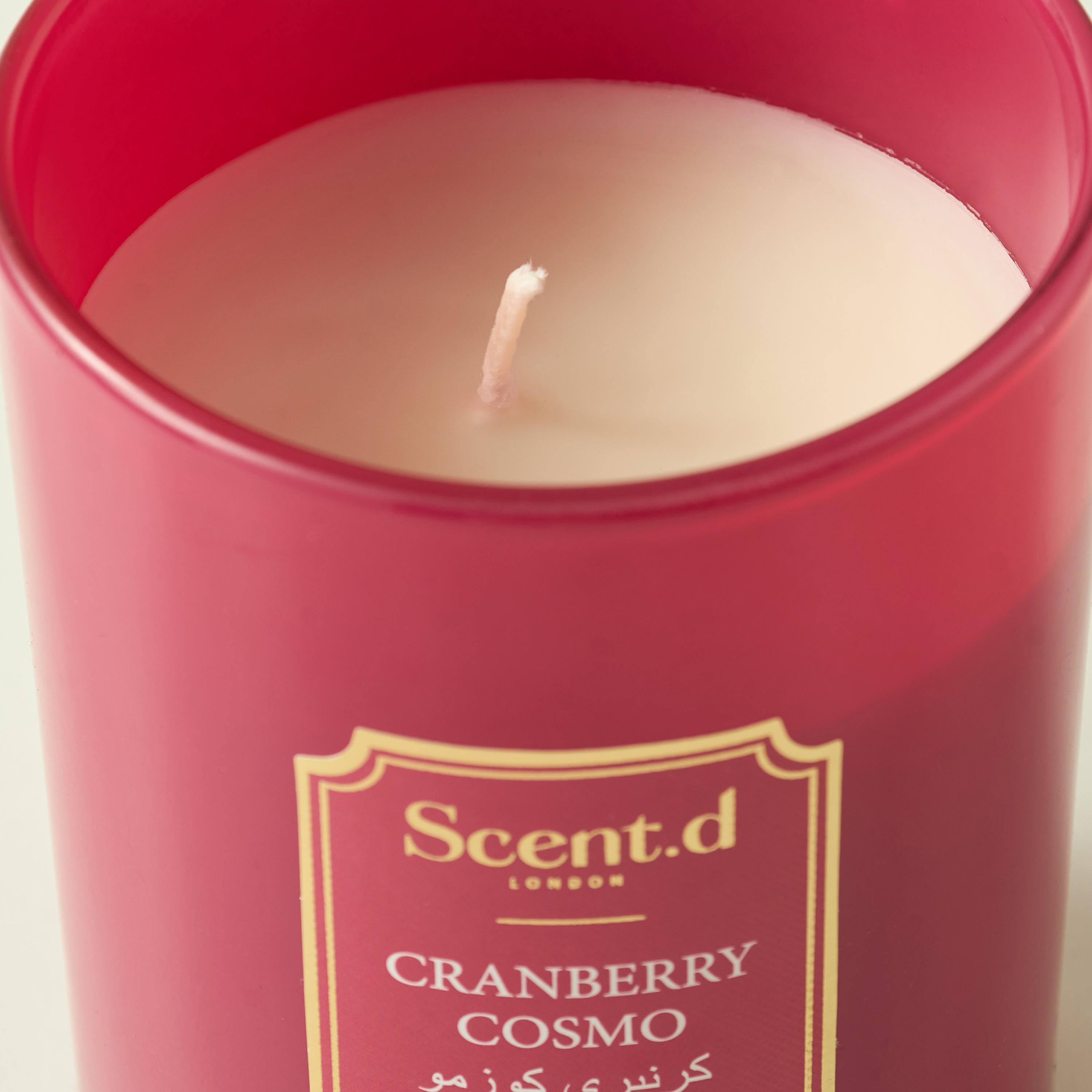 Scent.d Arabian Jasmine Scented Jar Candle - 226 gms-household-homefragrance-candles-image-3