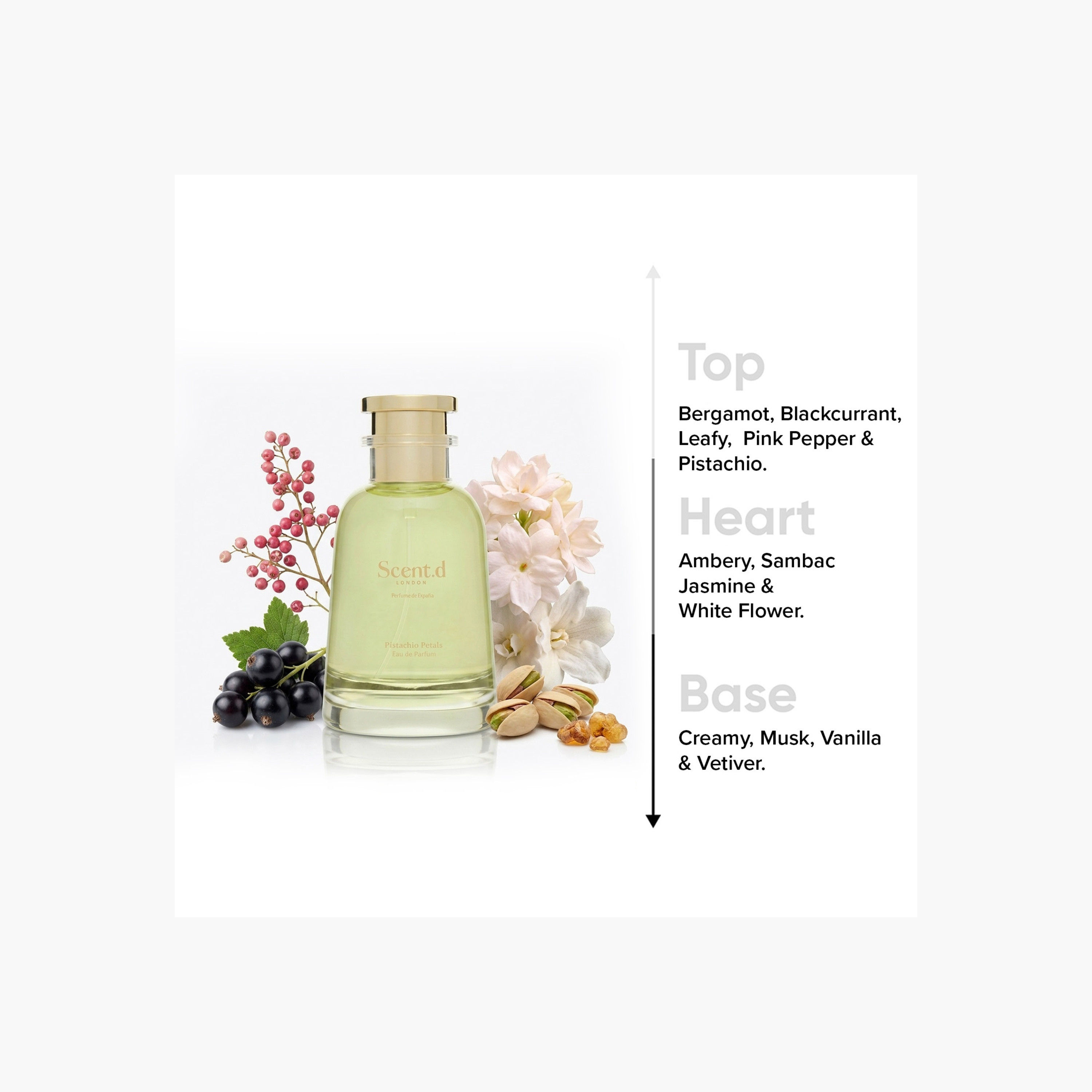 عطر أو دو برفان بستاشيو بيتالز من سينت. دي - 100 مل-beautyandpersonalcare-fragrance-unisex-image-5