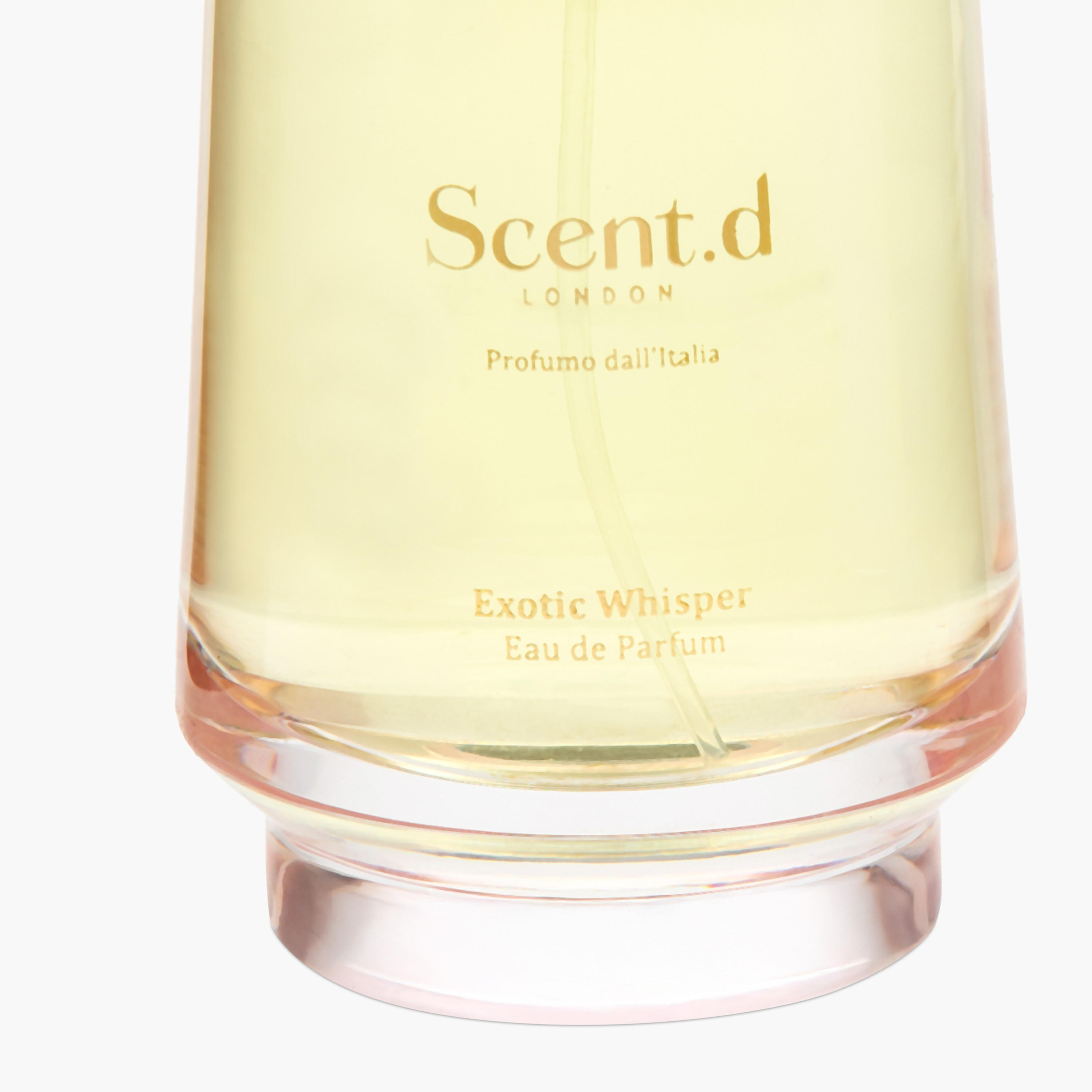 Scent.d Exotic Whisper Eau de Parfum - 100 ml-beautyandpersonalcare-fragrance-unisex-image-5