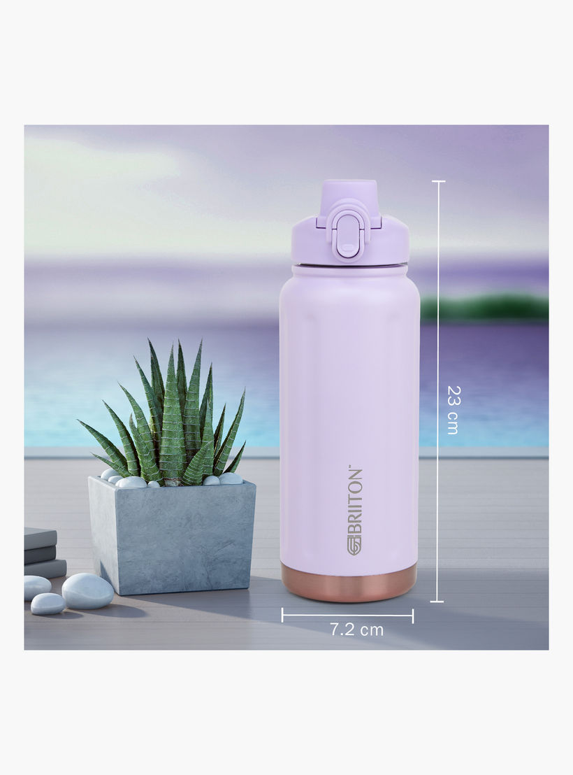Briiton Logo Print Insulated Stainless Steel Water Bottle - 750 ml-household-dining-drinkserveware-bottles-image-3