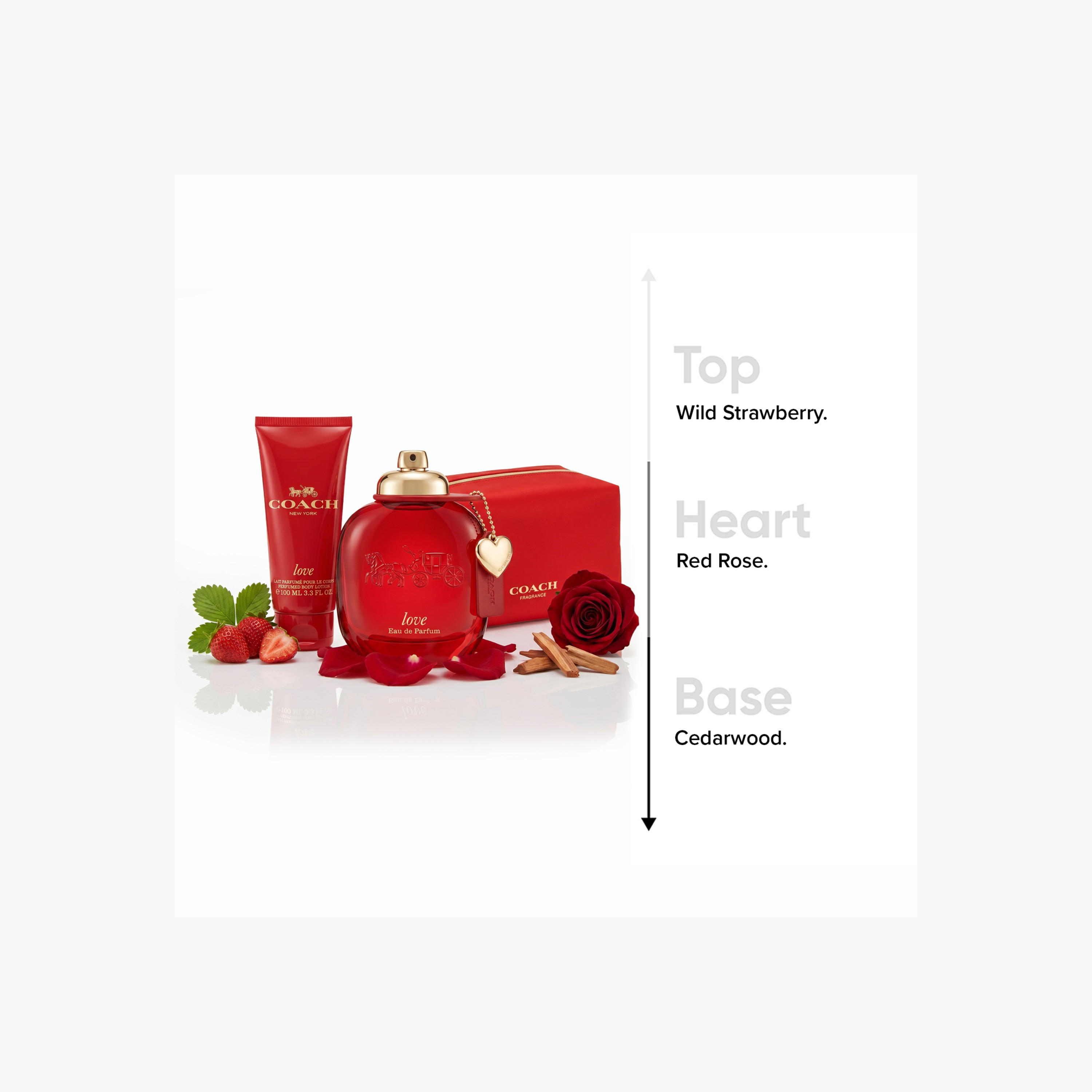 مجموعة عطر نيويورك لوف 3 قطع للنساء من كوتش-beautyandpersonalcare-giftsets-image-5