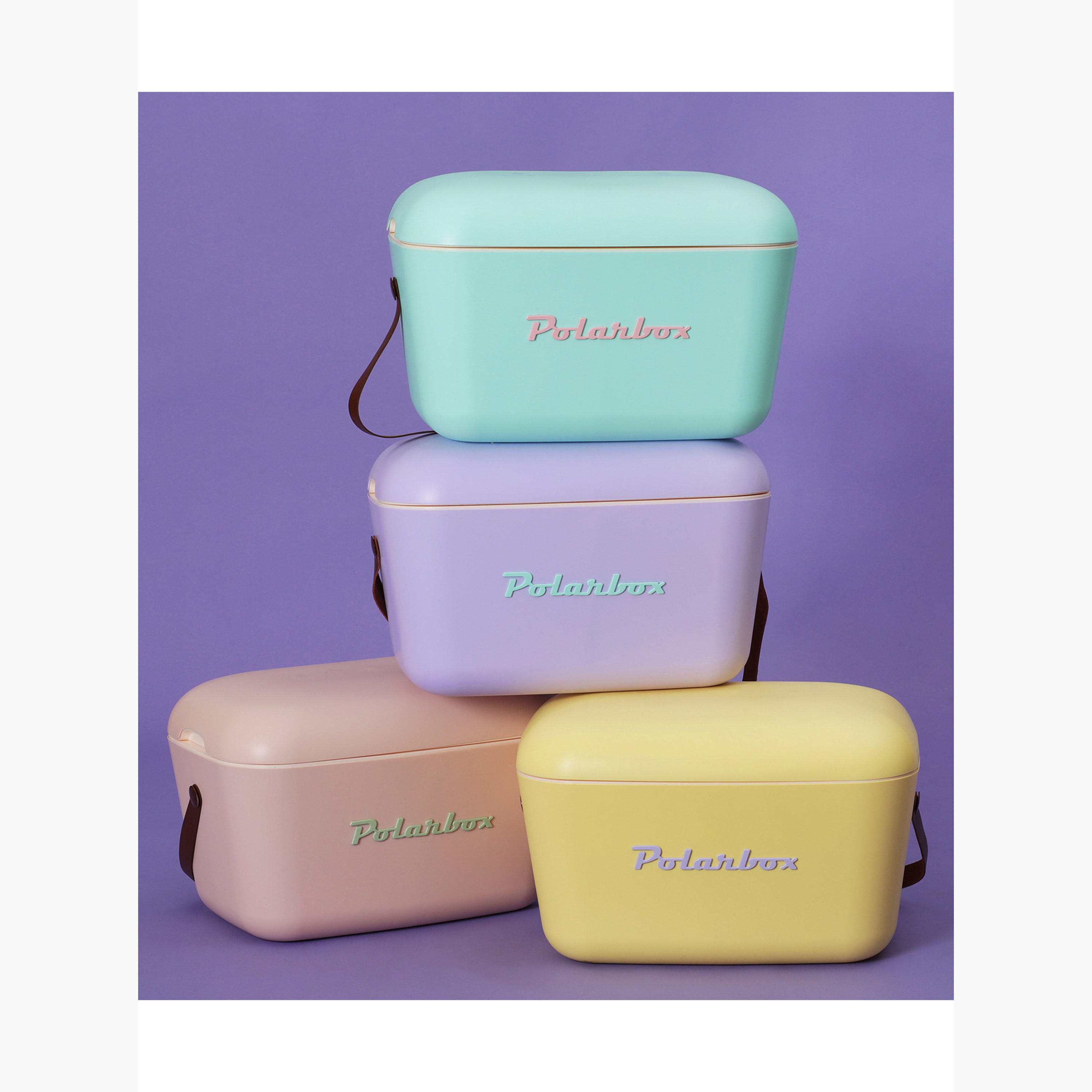 PolarBox Logo Embossed Ice Box - 20 L-household-kitchen-foodstorage-containers-image-15
