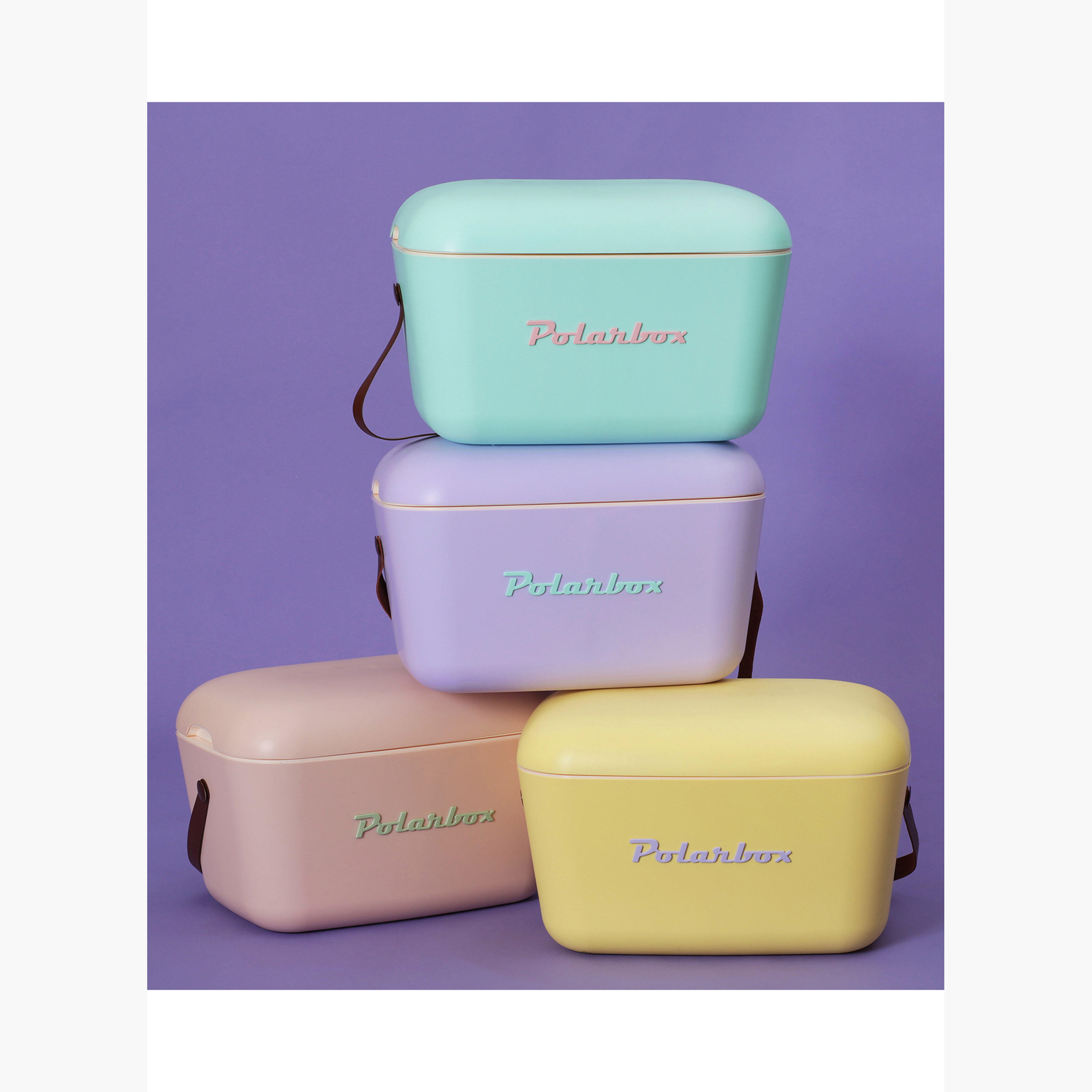 صندوق ثلج بطبعات شعار من بولار بوكس - 20 لتر-household-kitchen-foodstorage-containers-image-11
