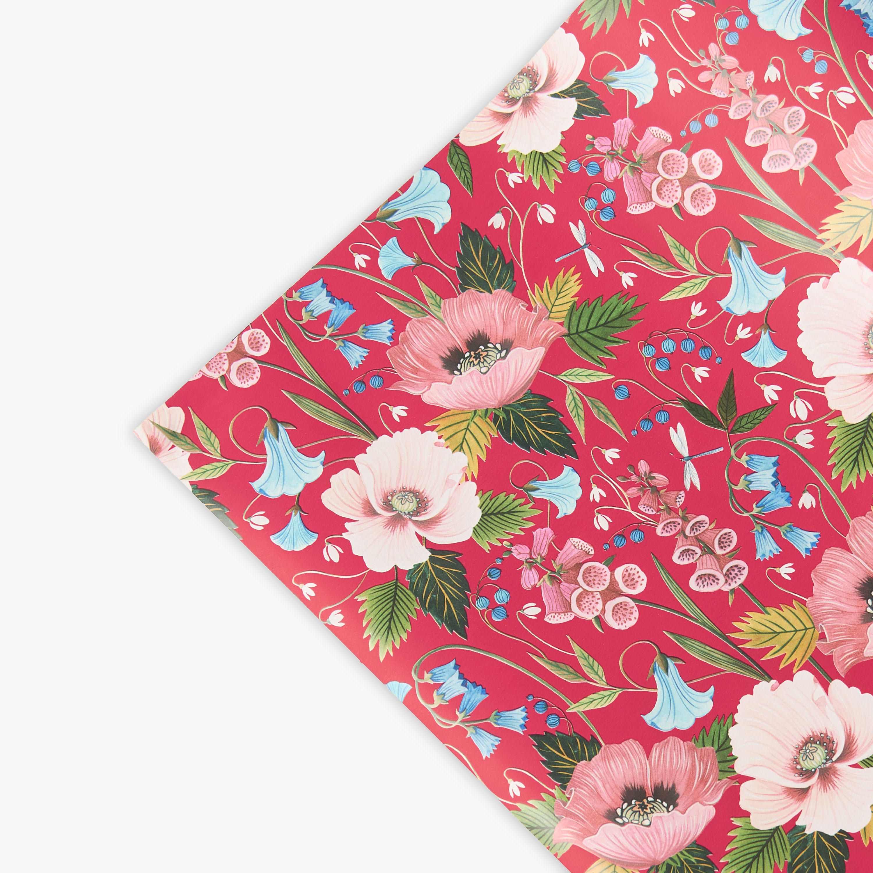 Floral Print Gift Wrap - 70x2 cms-household-decor-decorativeobjectsandsculptures-image-3