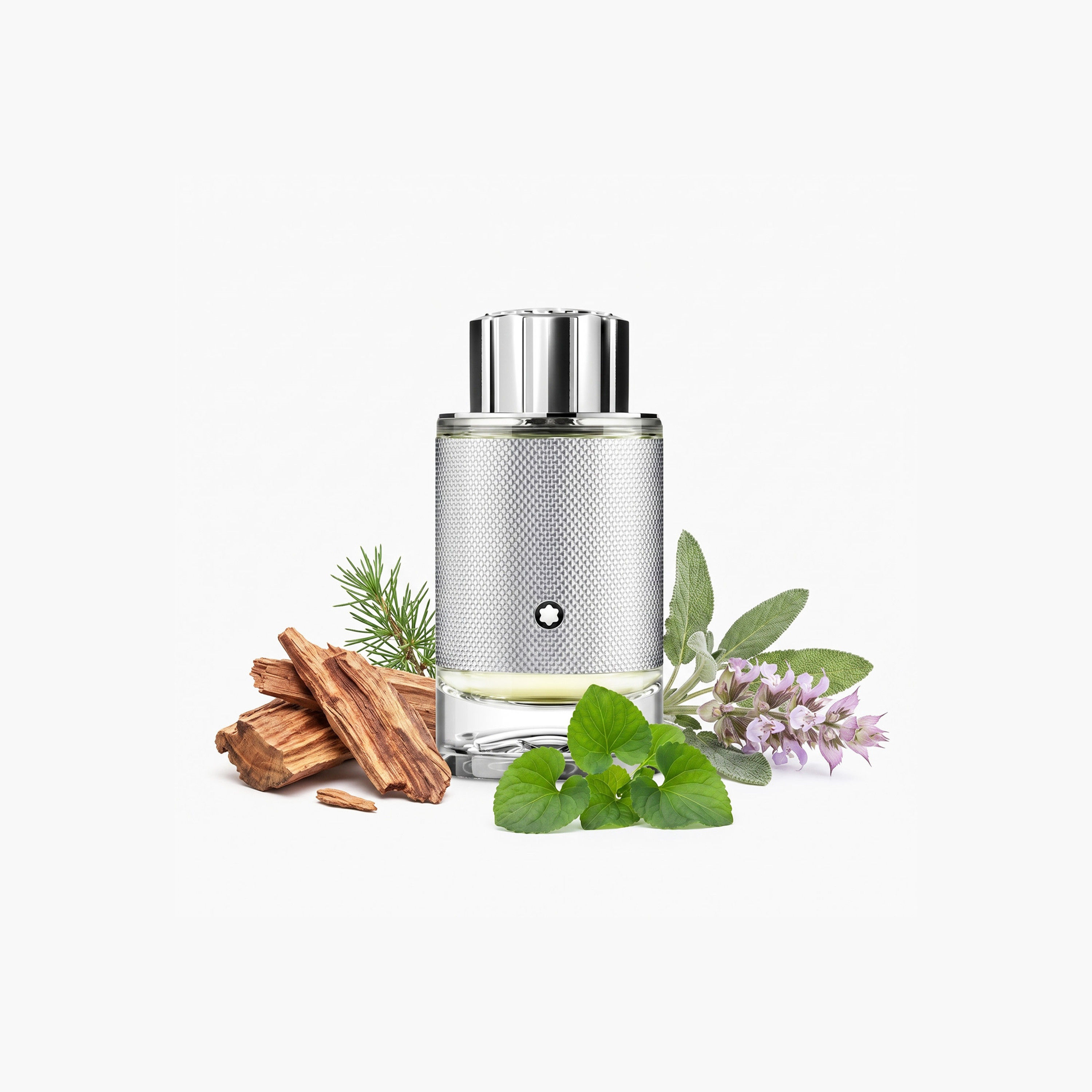 عطر أو دو برفان إكسبلورر بلاتينوم للرجال من مون بلان - 100 مل-beautyandpersonalcare-fragrance-men-image-4