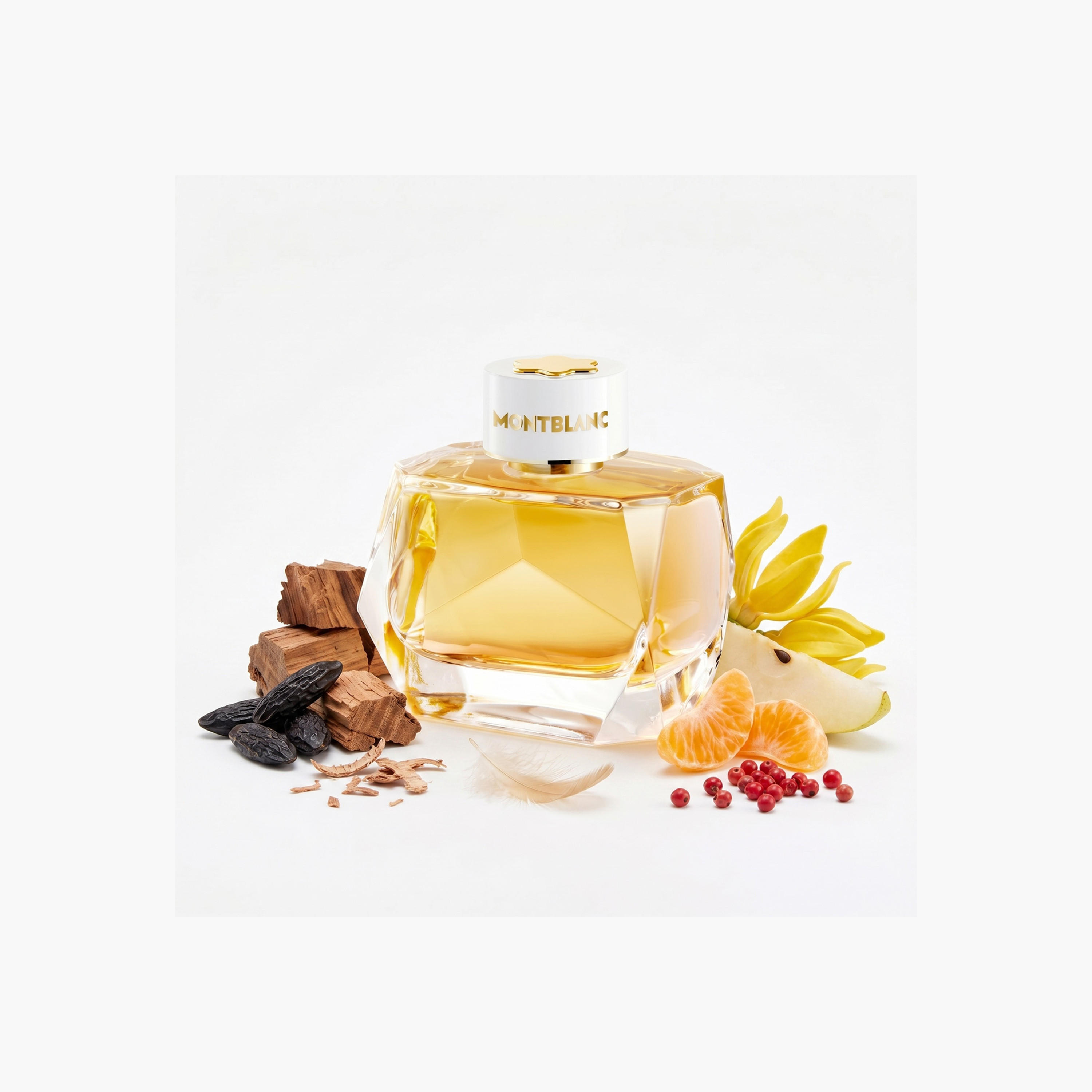 بخاخ أو دو بارفان سيجنتشر أبسولو للنساء من مونت بلانك- 90 مل-beautyandpersonalcare-fragrance-women-image-2