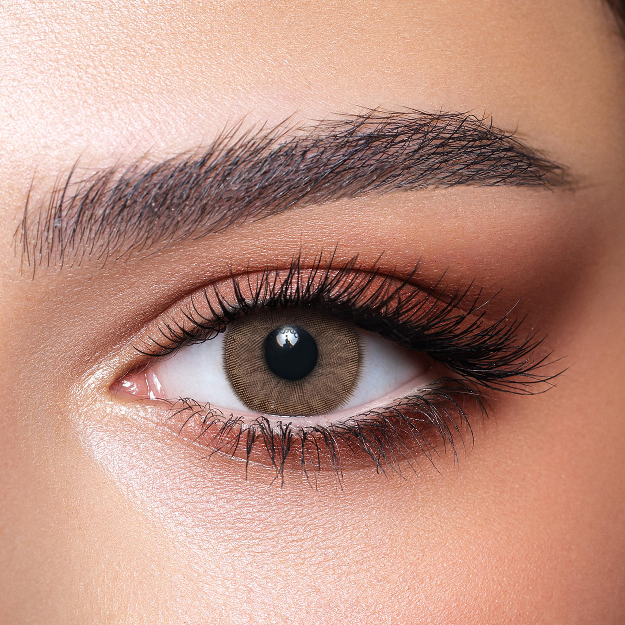 Bella Cove Hazel Daily Contact Lenses - Set of 10-beautyandpersonalcare-makeup-eyes-colorcontactlenses-image-2