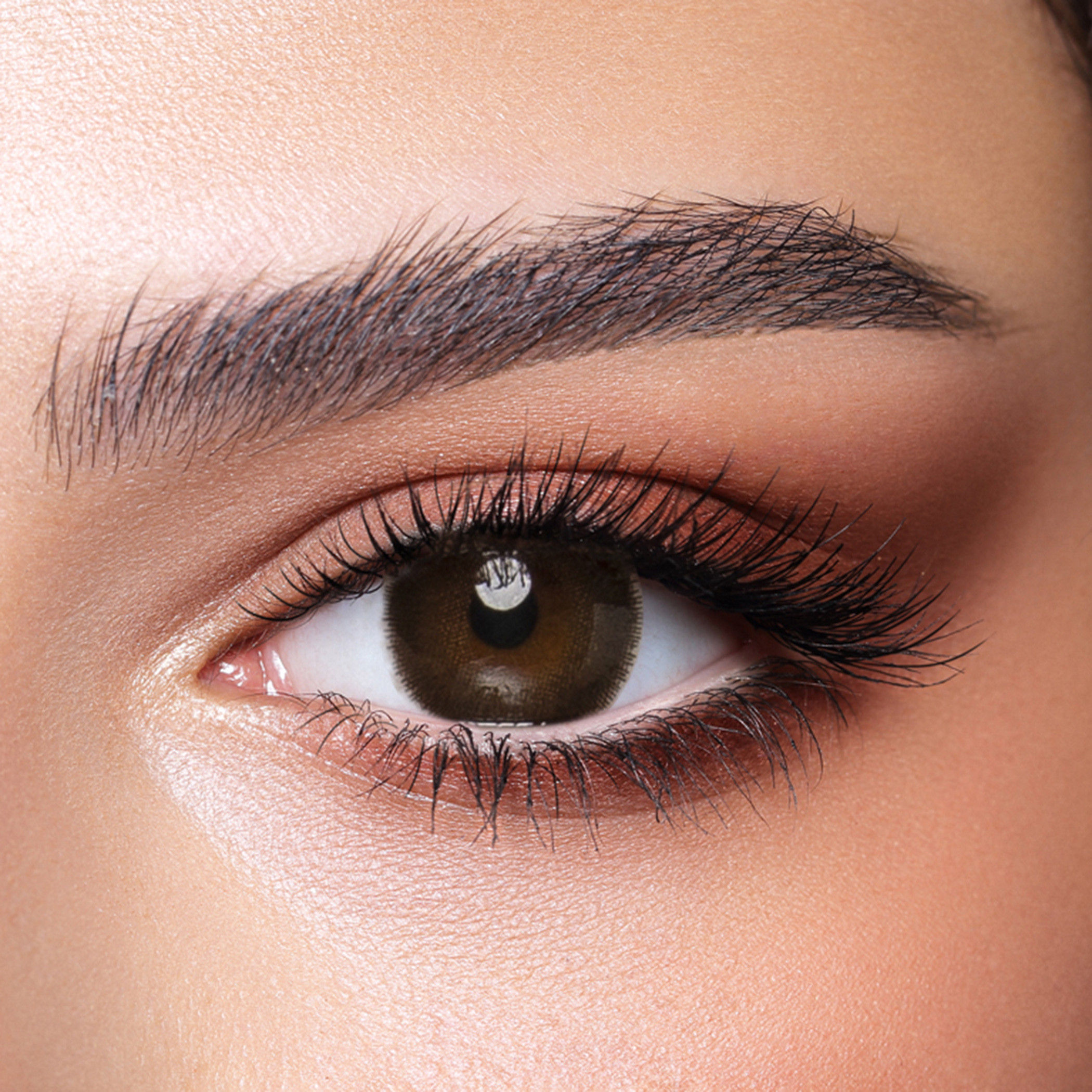 Bella Cedar Brown Daily Contact Lenses - Set of 10-beautyandpersonalcare-makeup-eyes-colorcontactlenses-image-2