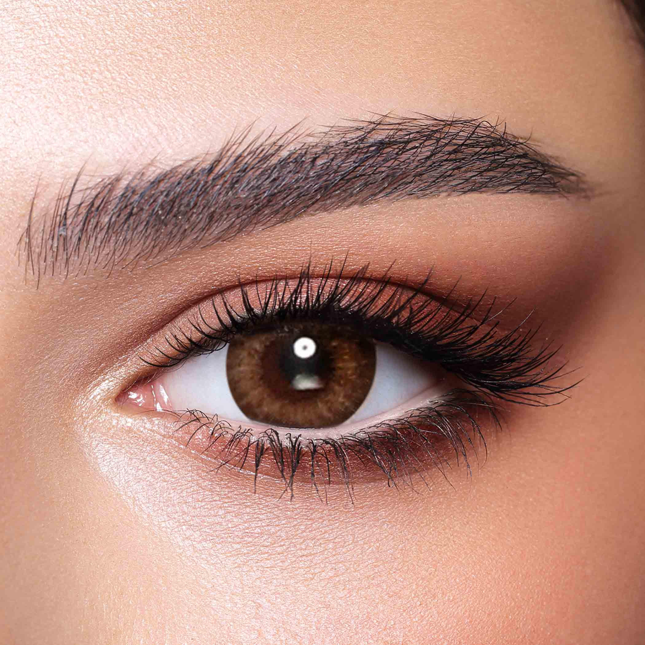 عدسات الموند براون اليومية من بيلا - مجموعة من 10 عدسات-beautyandpersonalcare-makeup-eyes-colorcontactlenses-image-2