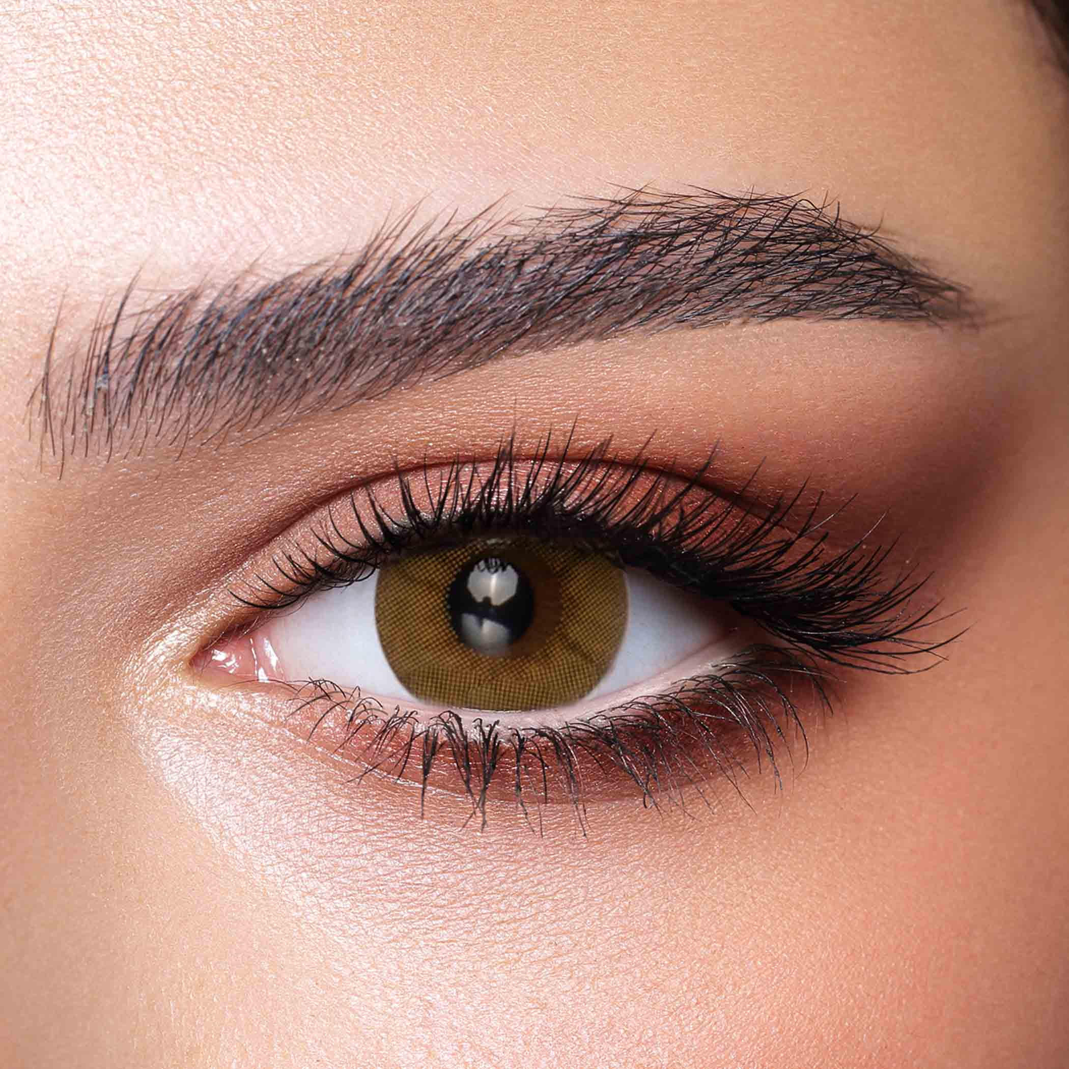 عدسات بيلا سيترين براونيش كريستال اللاصقة اليومية - مجموعة من 10 عدسات-beautyandpersonalcare-makeup-eyes-colorcontactlenses-image-2