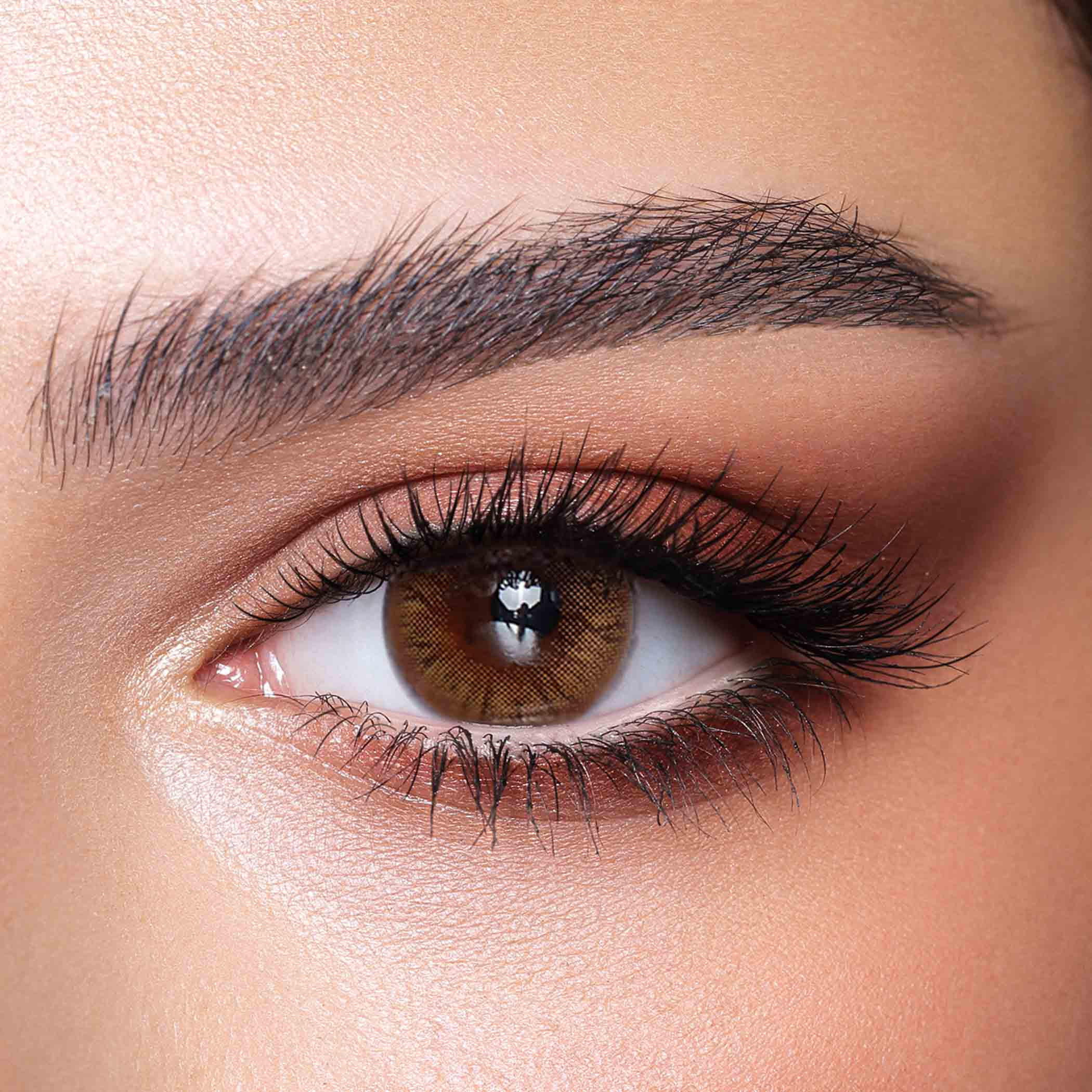 عدسات لاصقة يومية عسلي من بيلا هازل - طقم من 10 عدسات-beautyandpersonalcare-makeup-eyes-colorcontactlenses-image-1