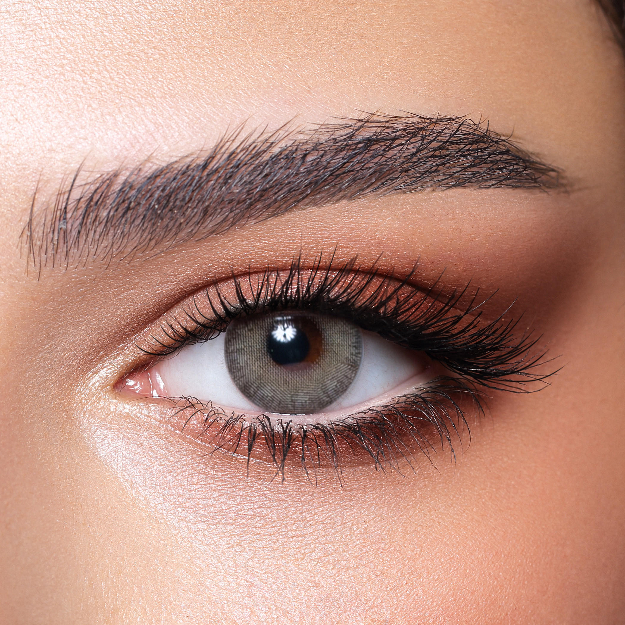 Bella Elite Gray Olive Monthly Contact Lenses - Set of 2-beautyandpersonalcare-makeup-eyes-colorcontactlenses-image-1