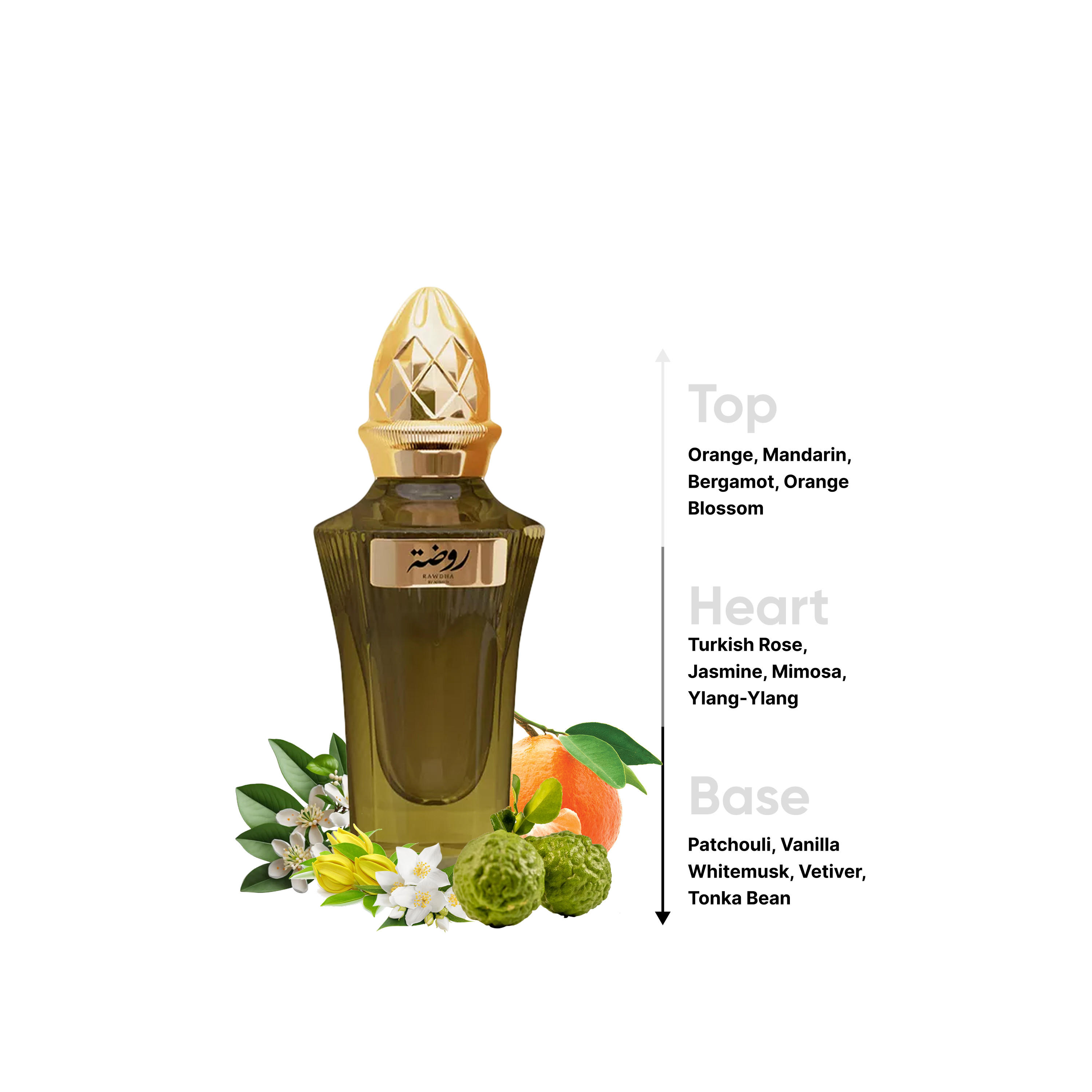عطر او دي بارفان روضة من أحمد المغربي - 50 مل-beautyandpersonalcare-fragrance-unisex-image-4
