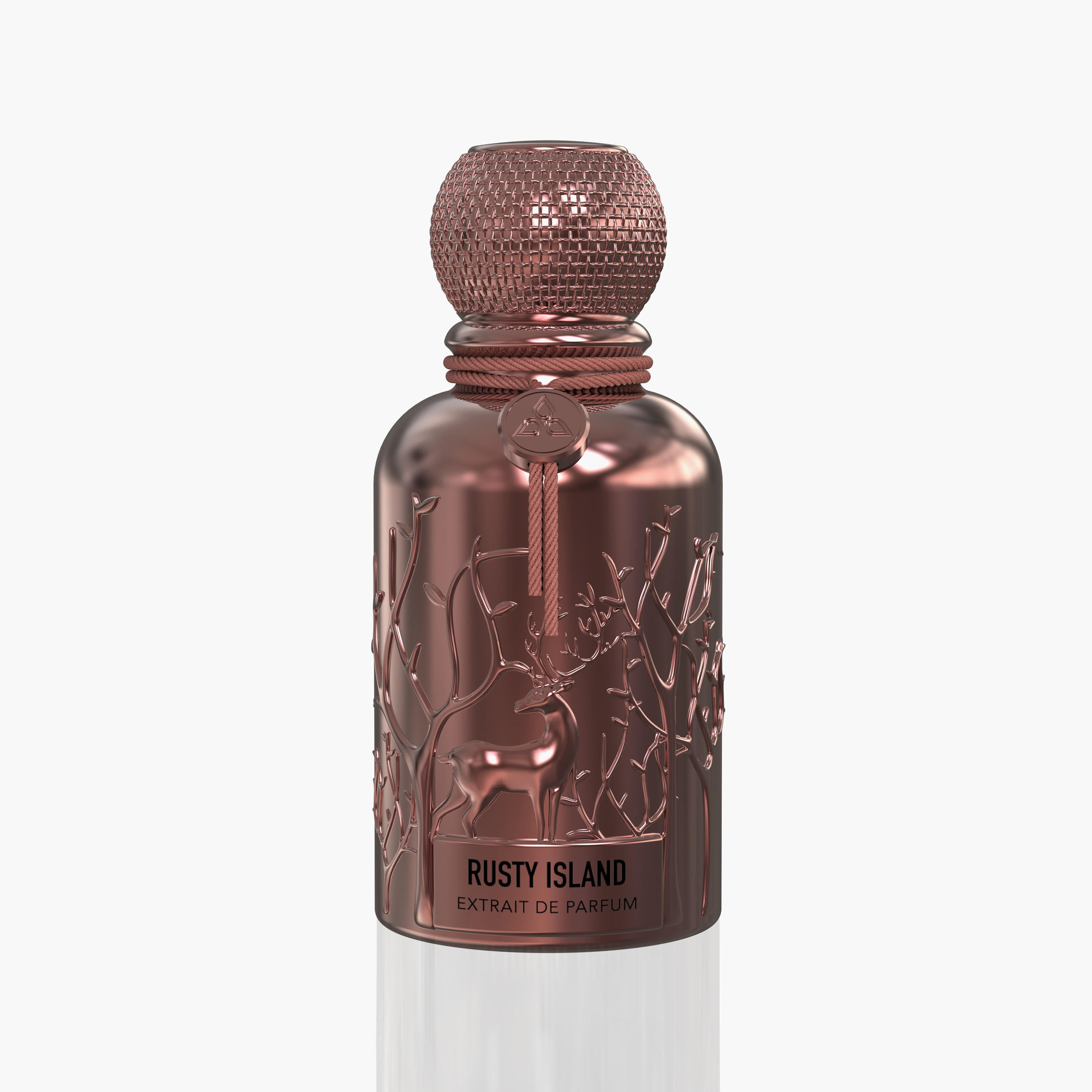 Auraa Desire Rusty Island Extrait de Parfum Spray - 100 ml-beautyandpersonalcare-fragrance-unisex-image-1