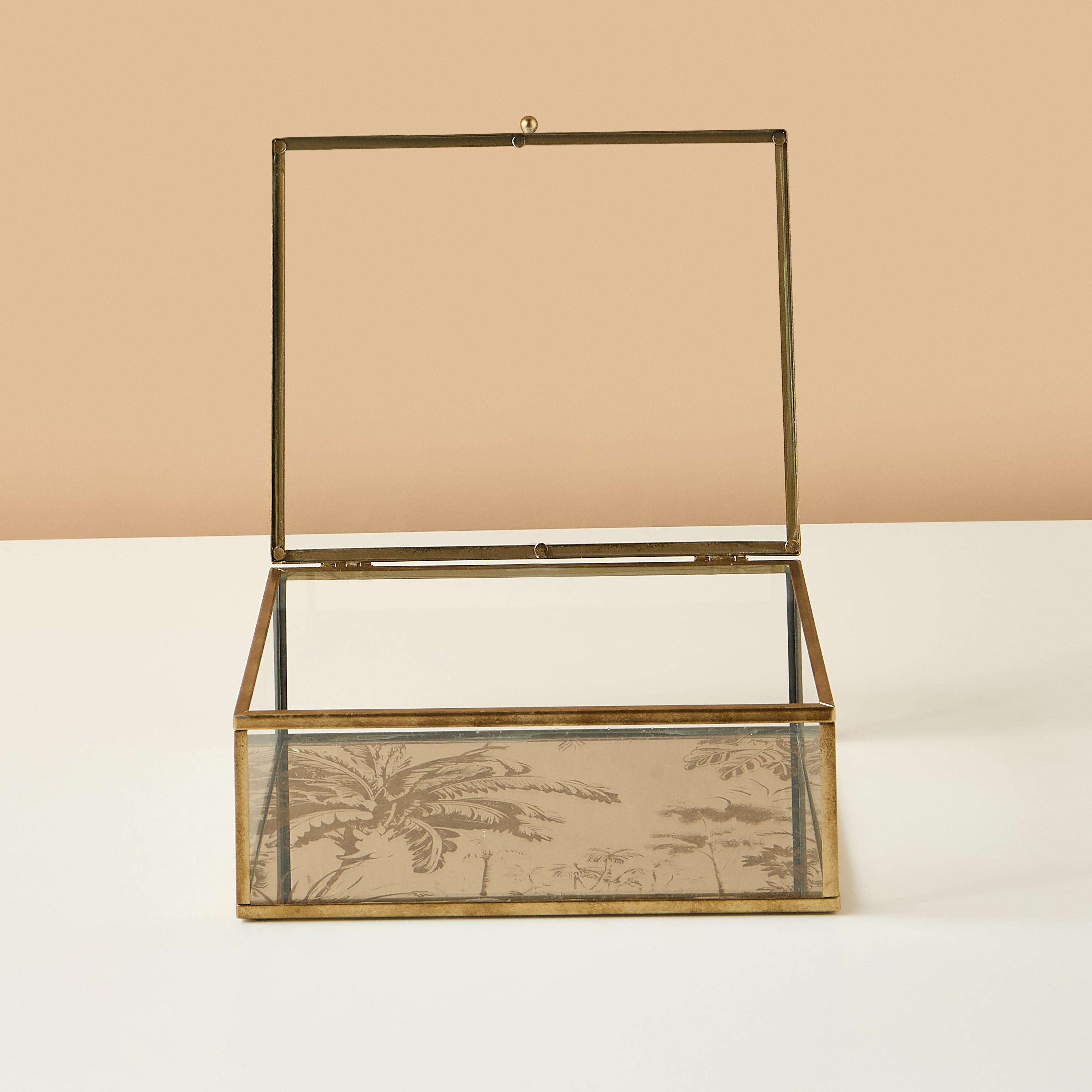 صندوق ديكور زجاجي-household-decor-decorativeobjectsandsculptures-image-3