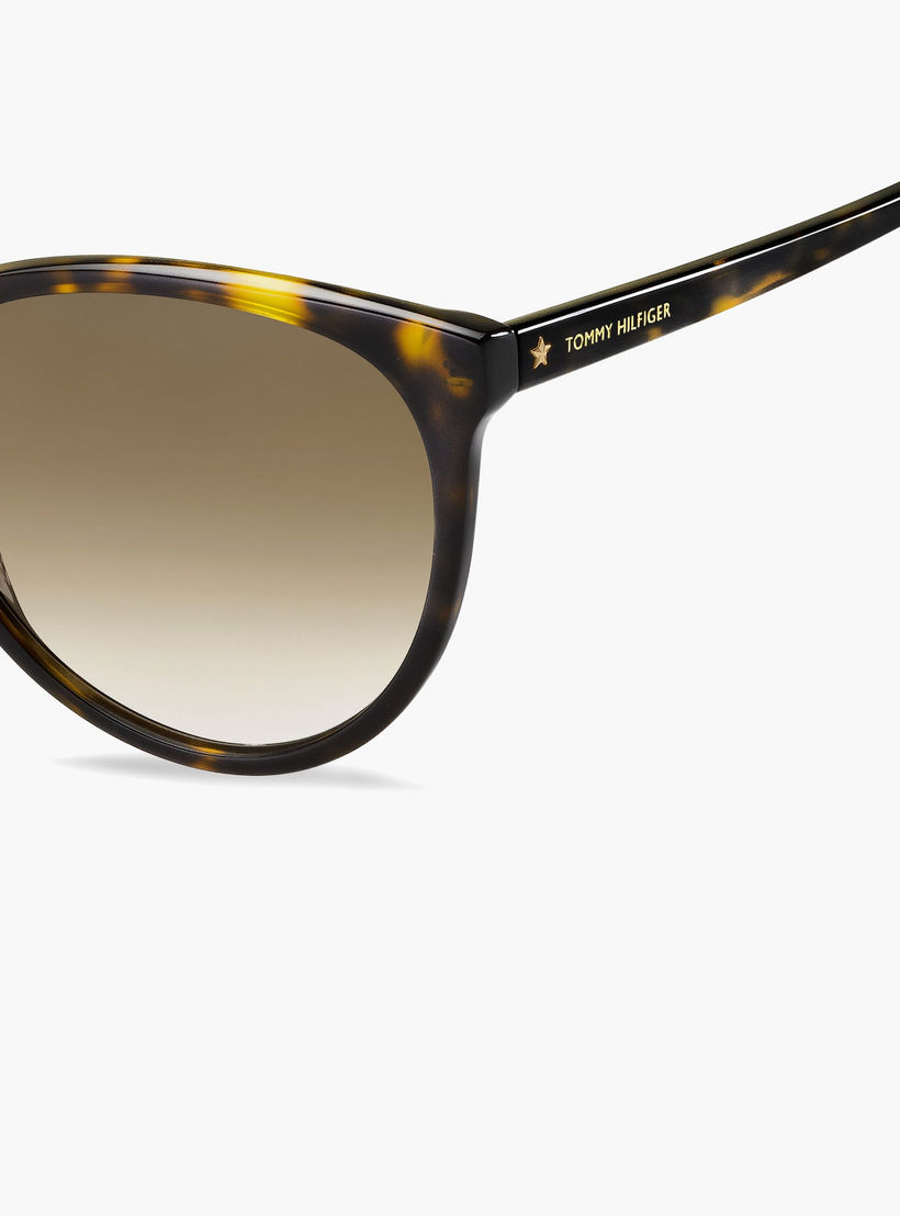 Tommy Hilfiger Women's 56 MM Brown Shaded Cat Eye Sunglasses-men-sunglasses-image-3