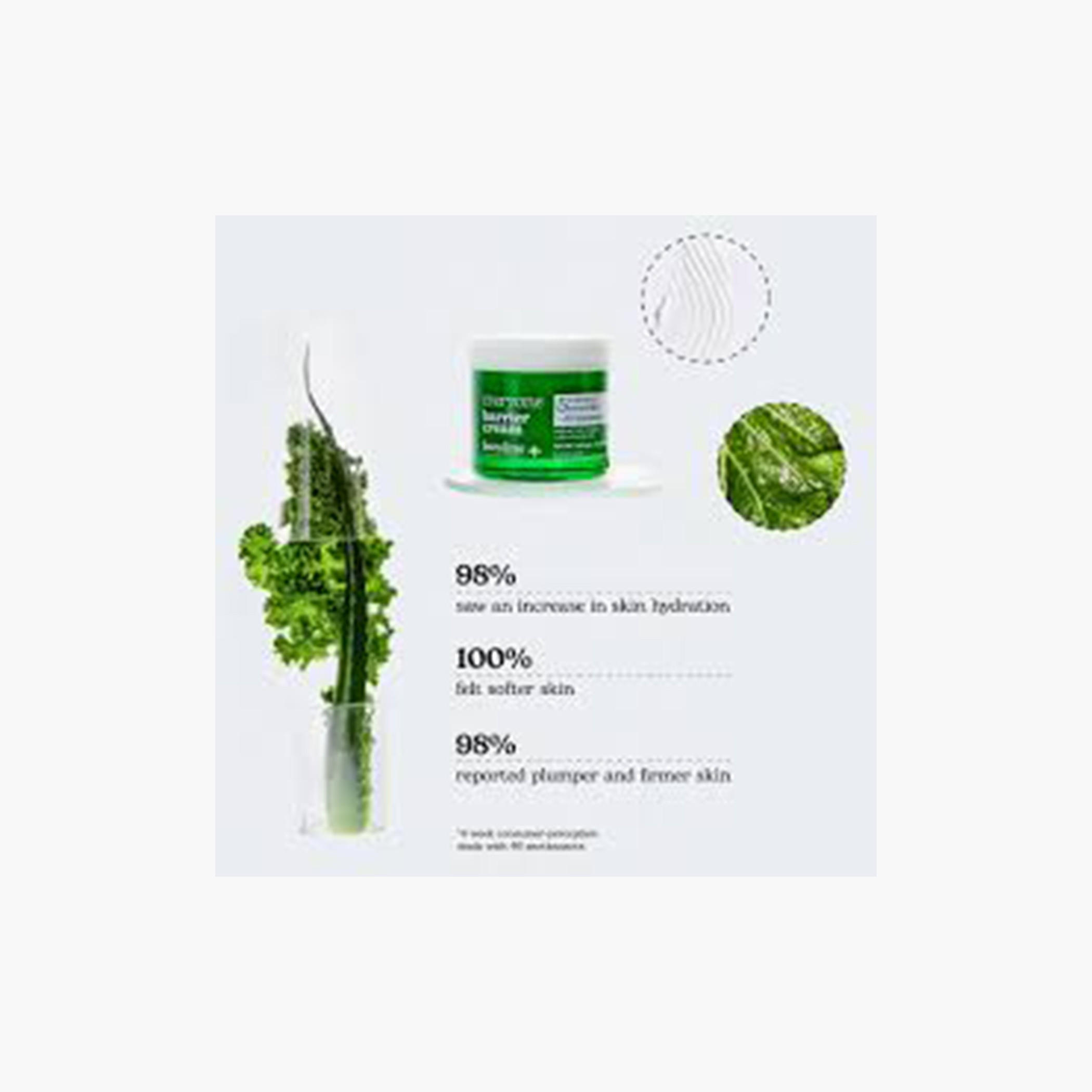 Beesline Everyone Barrier Cream - 50 ml-beautyandpersonalcare-skin-moisturisers-facemoisturisers-image-5