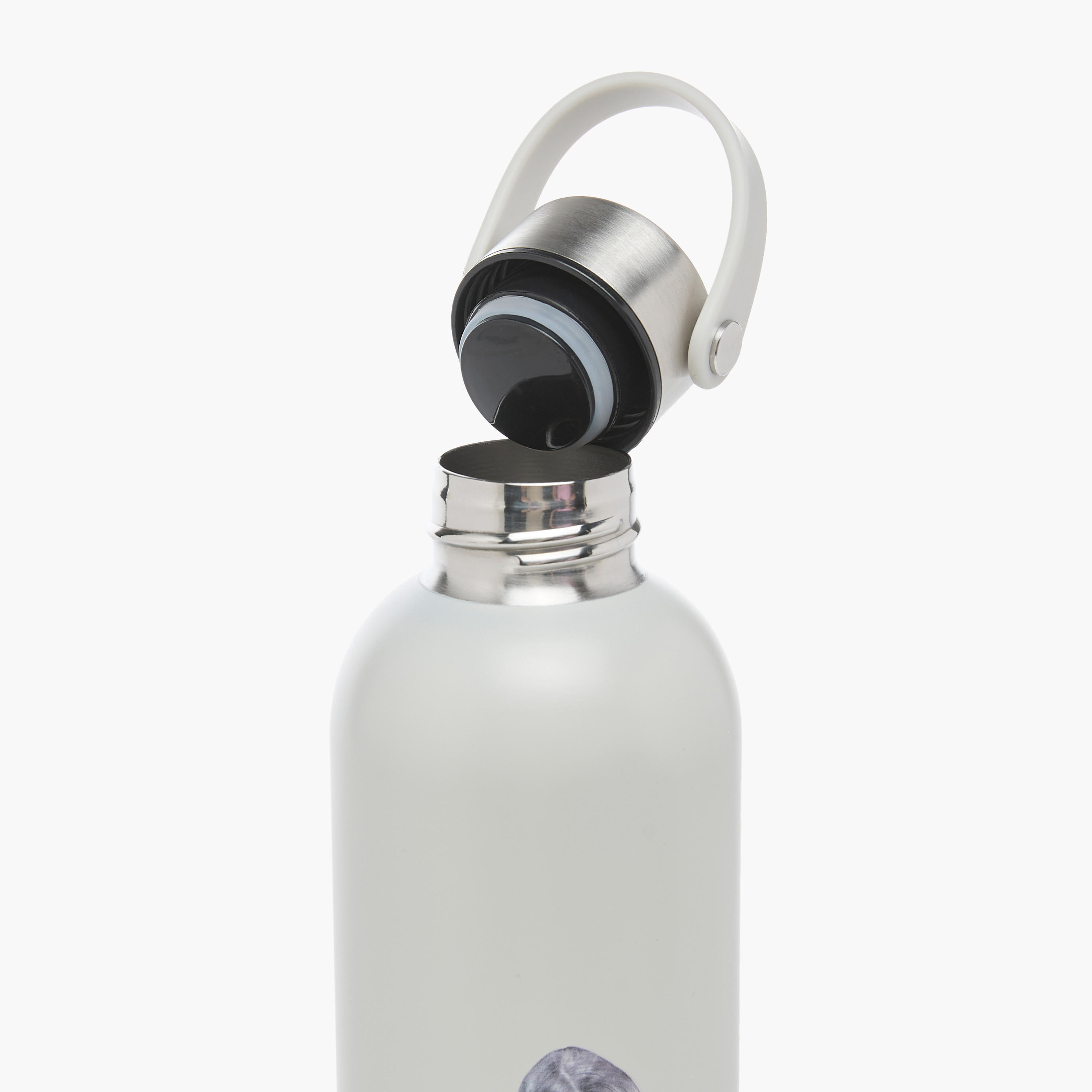 Taylor Swift Print Double Wall Stainless Steel Water Bottle- 650 ml-school-waterbottles-image-5