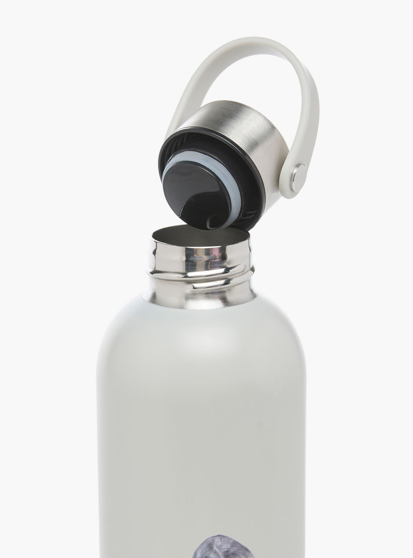 Taylor Swift Print Double Wall Stainless Steel Water Bottle- 650 ml-school-waterbottles-image-5