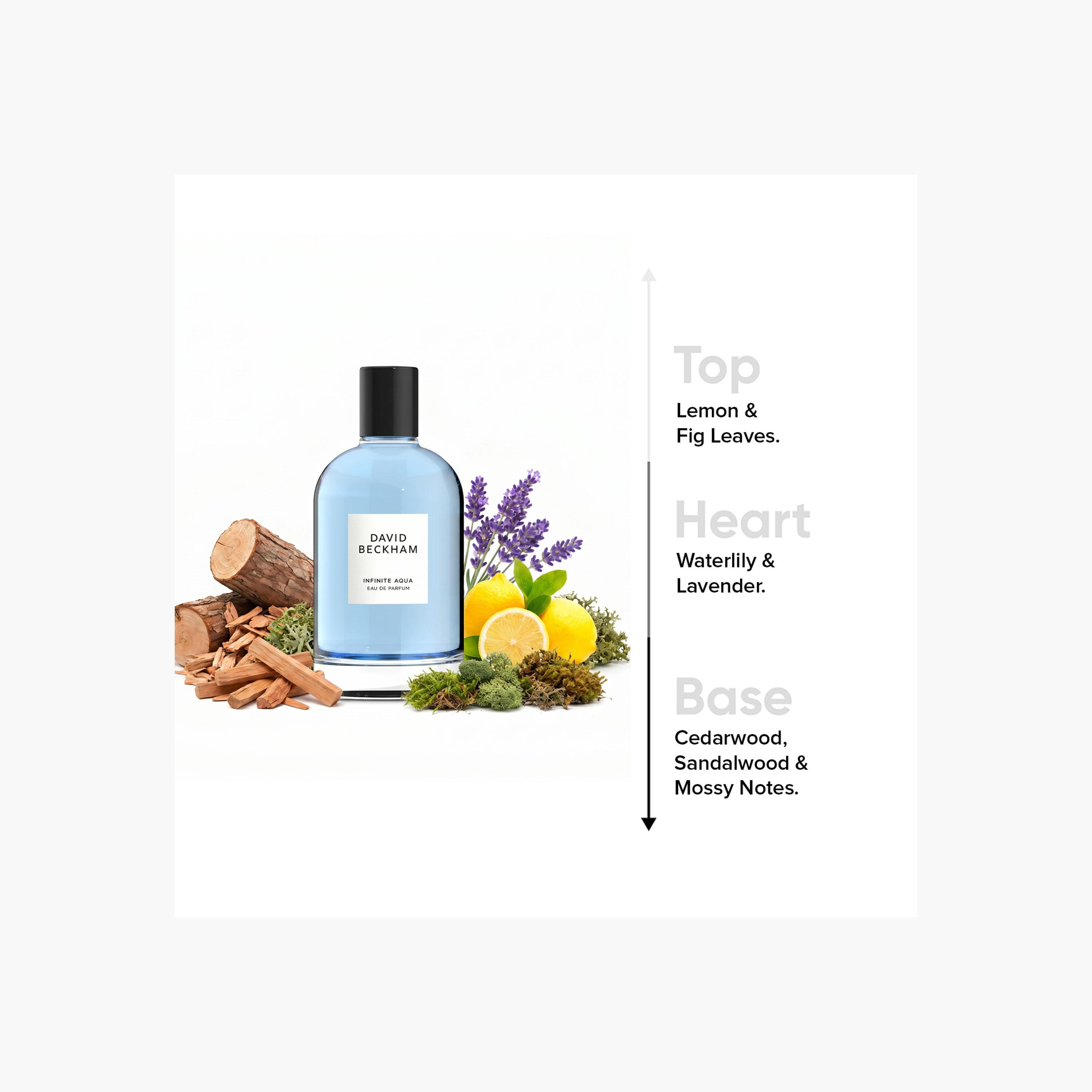 عطر أو دو بارفان إينفينيت أكوا للرجال من ديفيد بيكهام - 100 مل-beautyandpersonalcare-fragrance-men-image-4