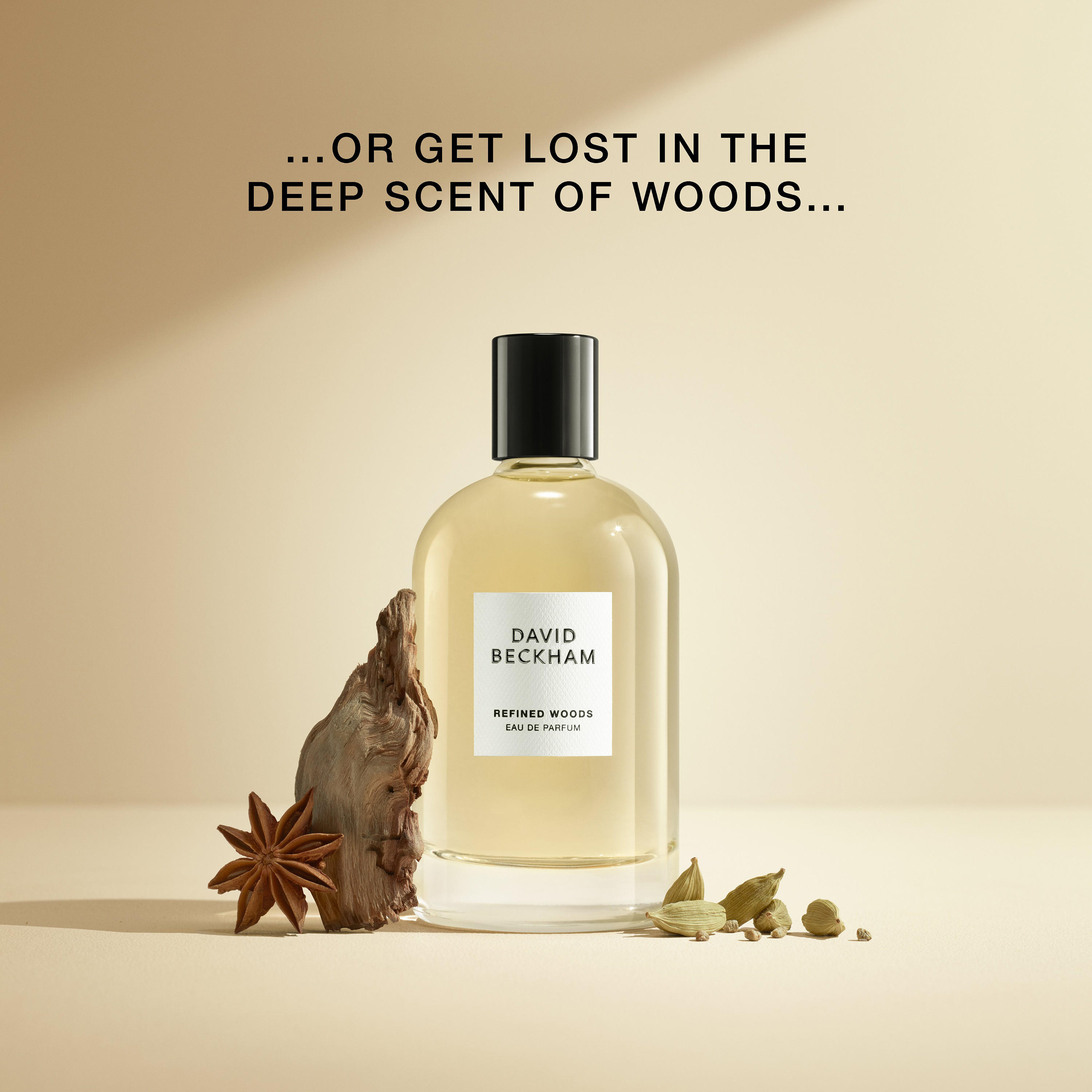 عطر أو دو بارفان ريفايند وودز للرجال من ديفيد بيكهام - 100 مل-beautyandpersonalcare-fragrance-men-image-5