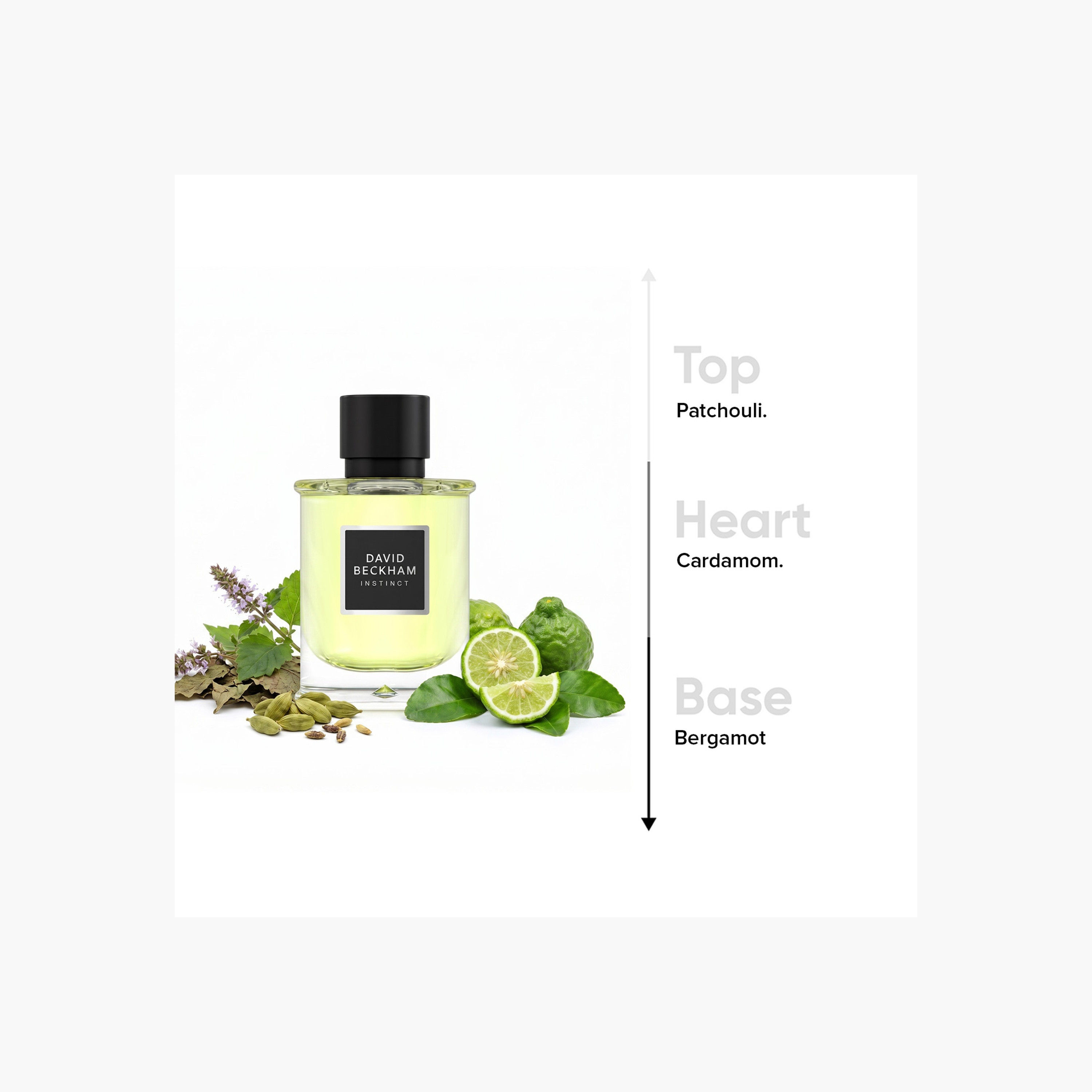 عطر أو دو بافان انستينكت للرجال من ديفيد بيكهام - 75 مل-beautyandpersonalcare-fragrance-men-image-5