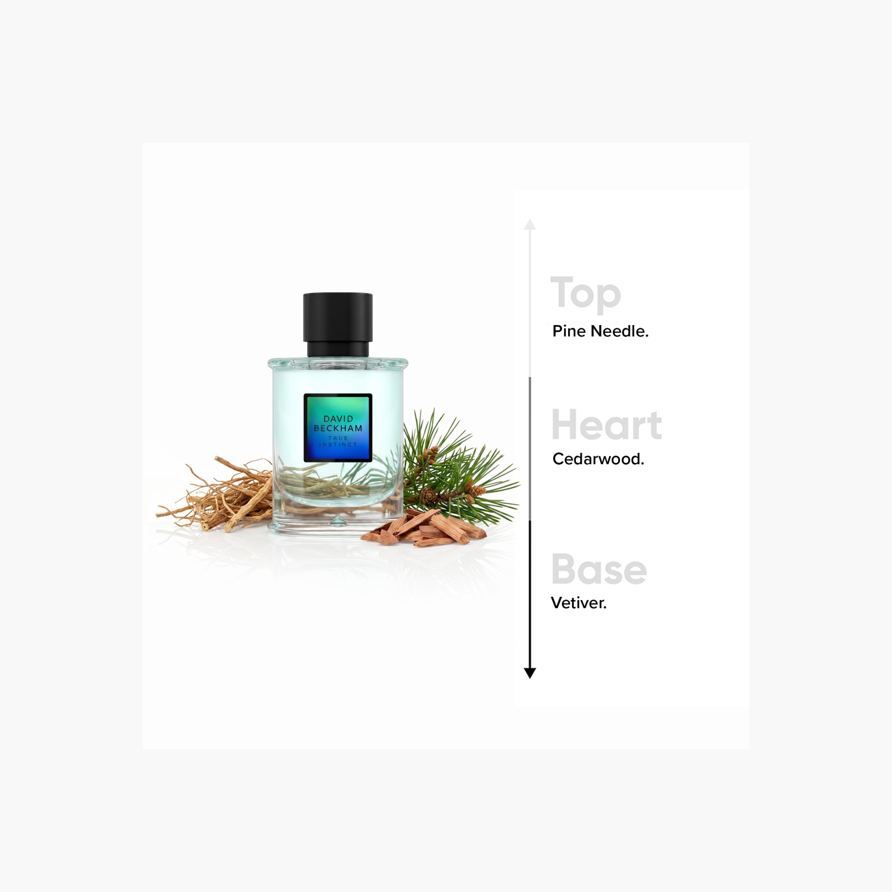 عطر أو دو بارفان ترو انستنكت للرجال من ديفيد بيكهام - 75 مل-beautyandpersonalcare-fragrance-men-image-5